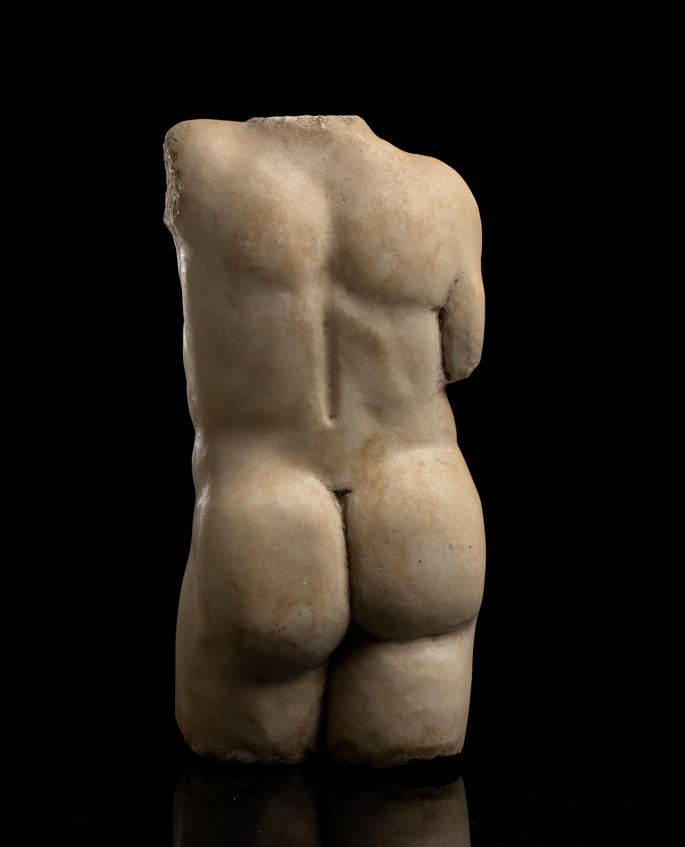 Nude White Marble Male Torso Sculpture Classical Greek Styl  19th Grand Tour 5