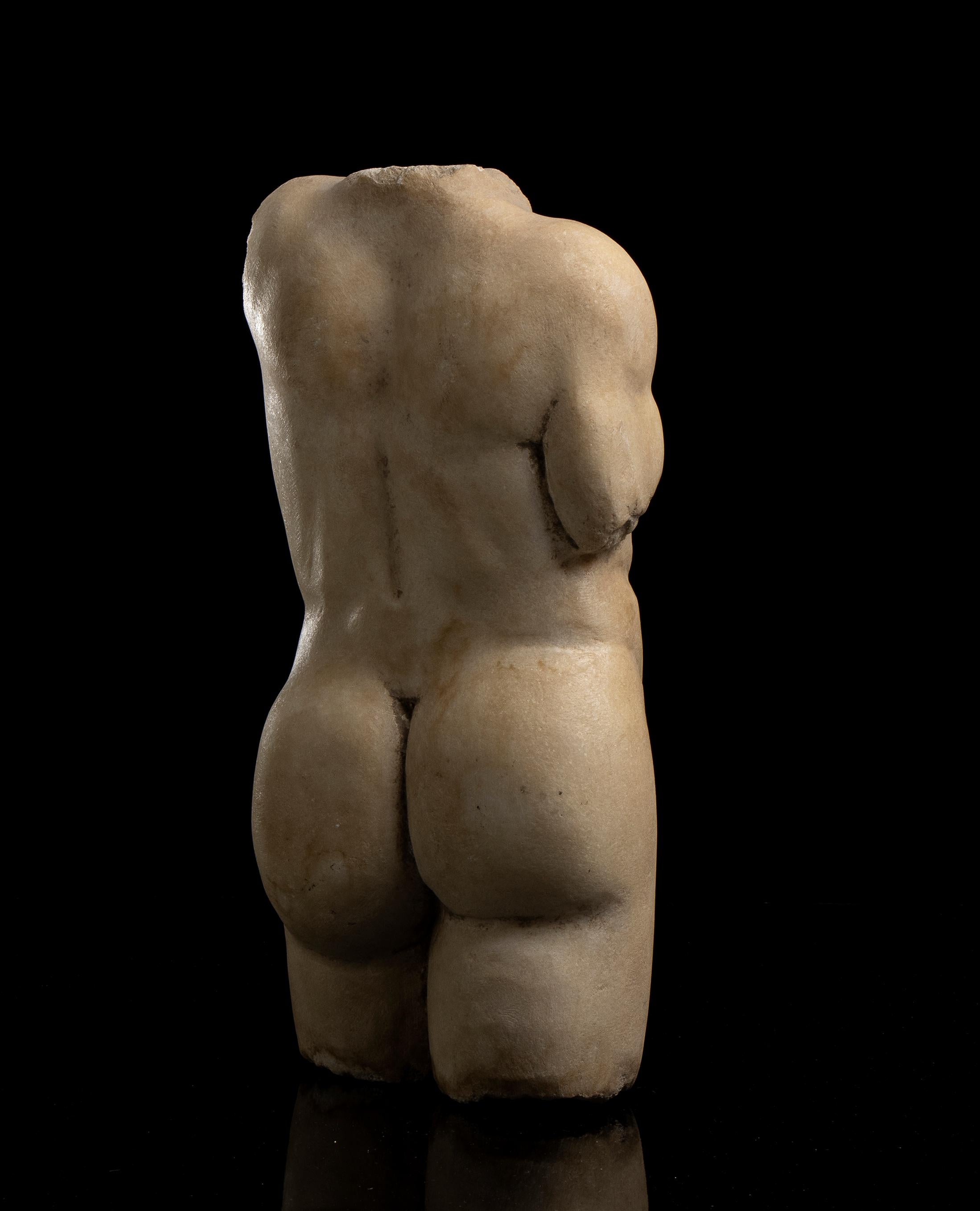 Nude White Marble Male Torso Sculpture Classical Greek Styl  19th Grand Tour 6