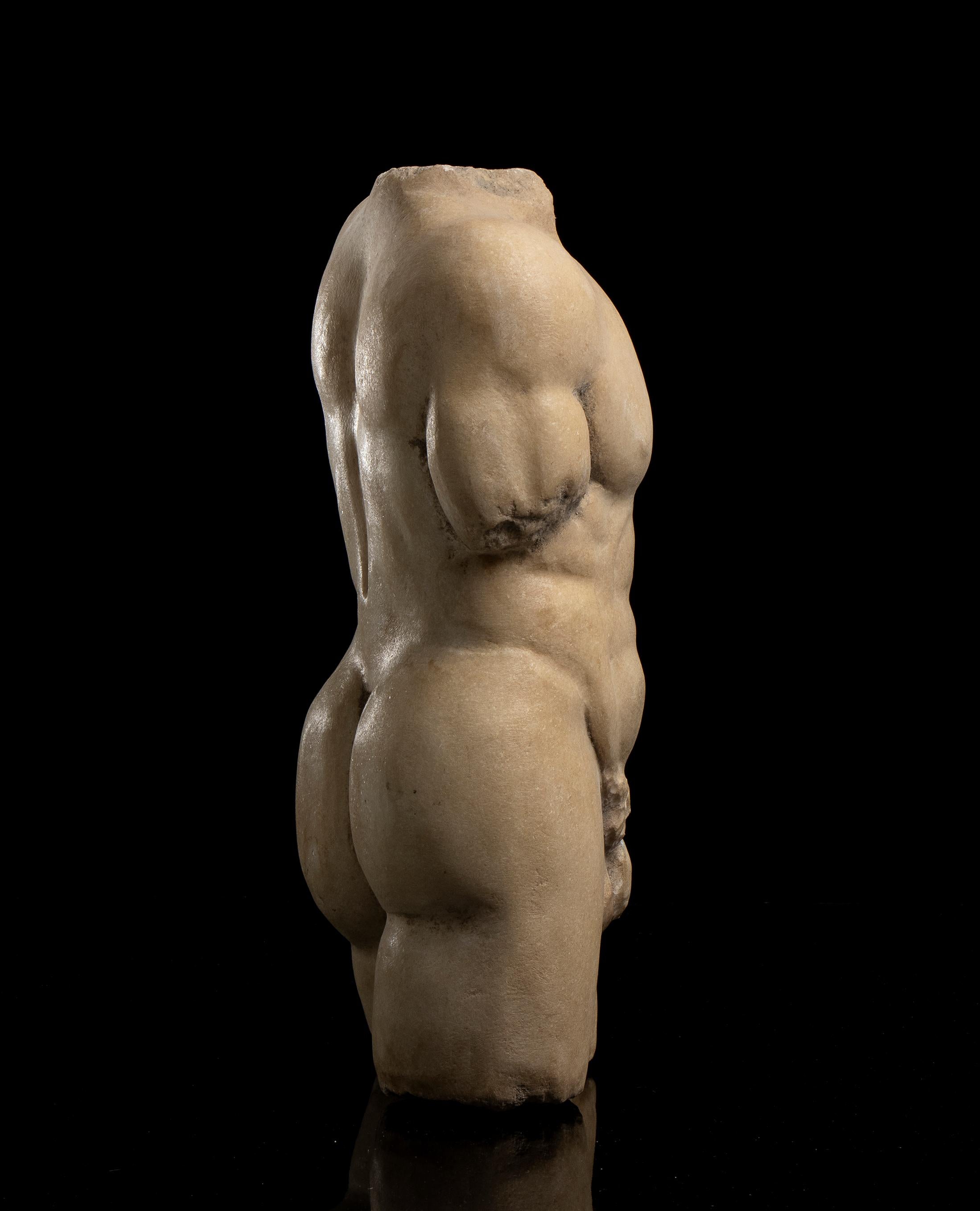 Nude White Marble Male Torso Sculpture Classical Greek Styl  19th Grand Tour 7
