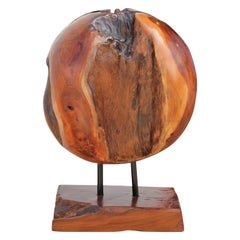 Organic Modern Polished Wooden Root Sphere Sculpture