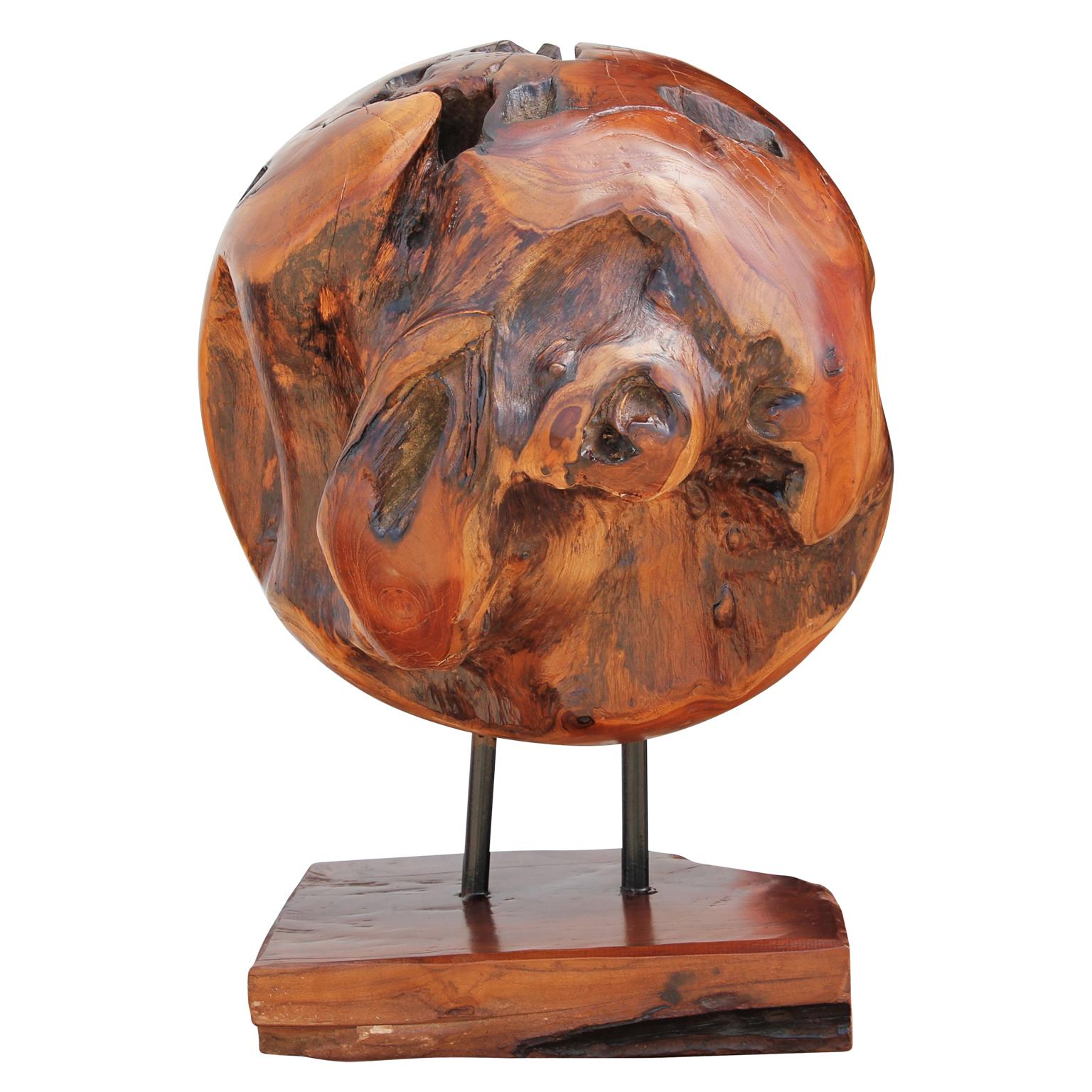 Organic Modern Polished Wooden Root Sphere Sculpture - Art by Unknown