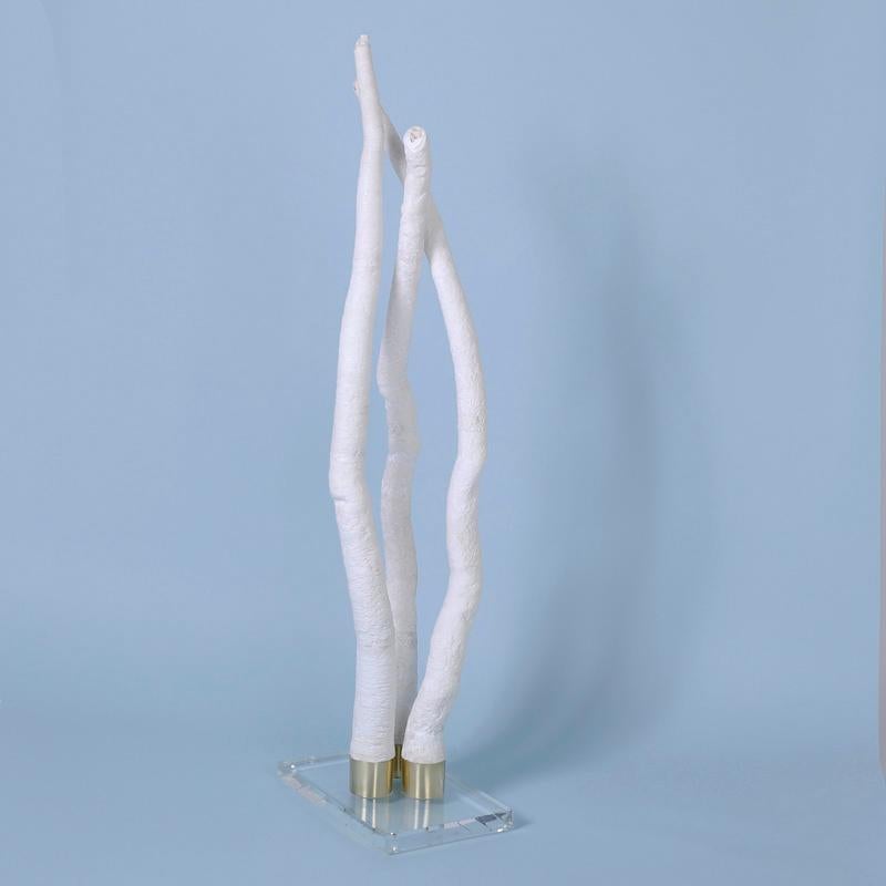 Escultura de concha tubular orgánica - Sculpture de Unknown