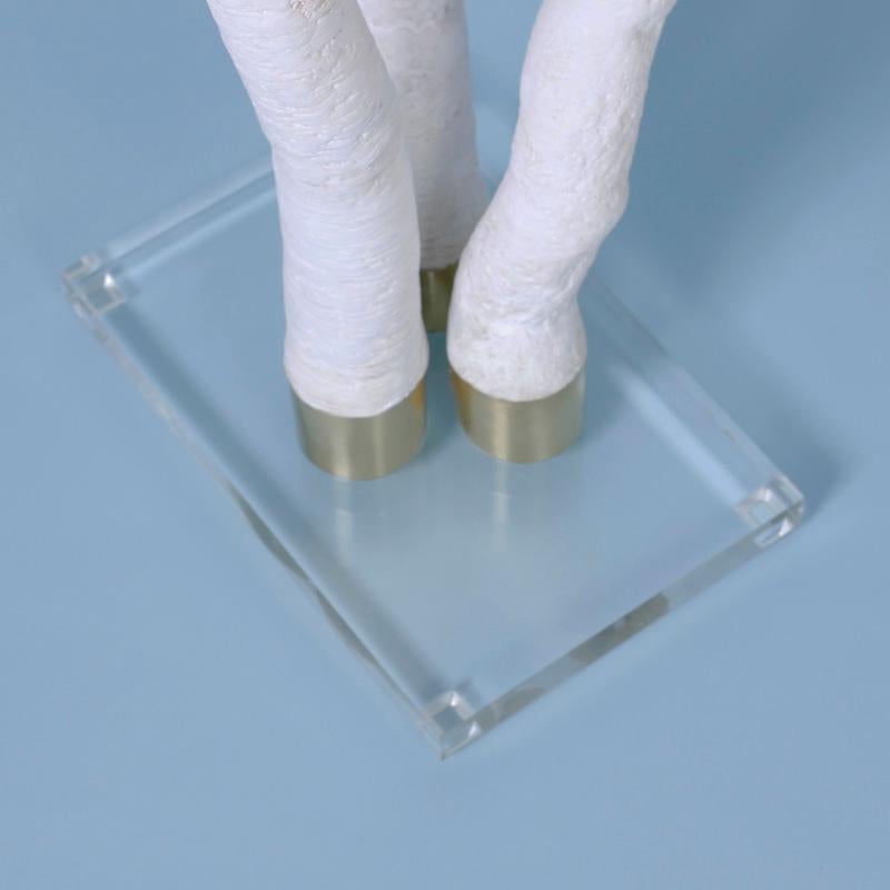 Elegante escultura alta de concha tubular diseñada y ejecutada por F. S. Henemader con una forma espectacular y un llamativo color blanco blanqueado. Se presenta sobre una base de Lucite para realzar los elementos escultóricos.