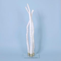 Organic Tube Shell Sculpture