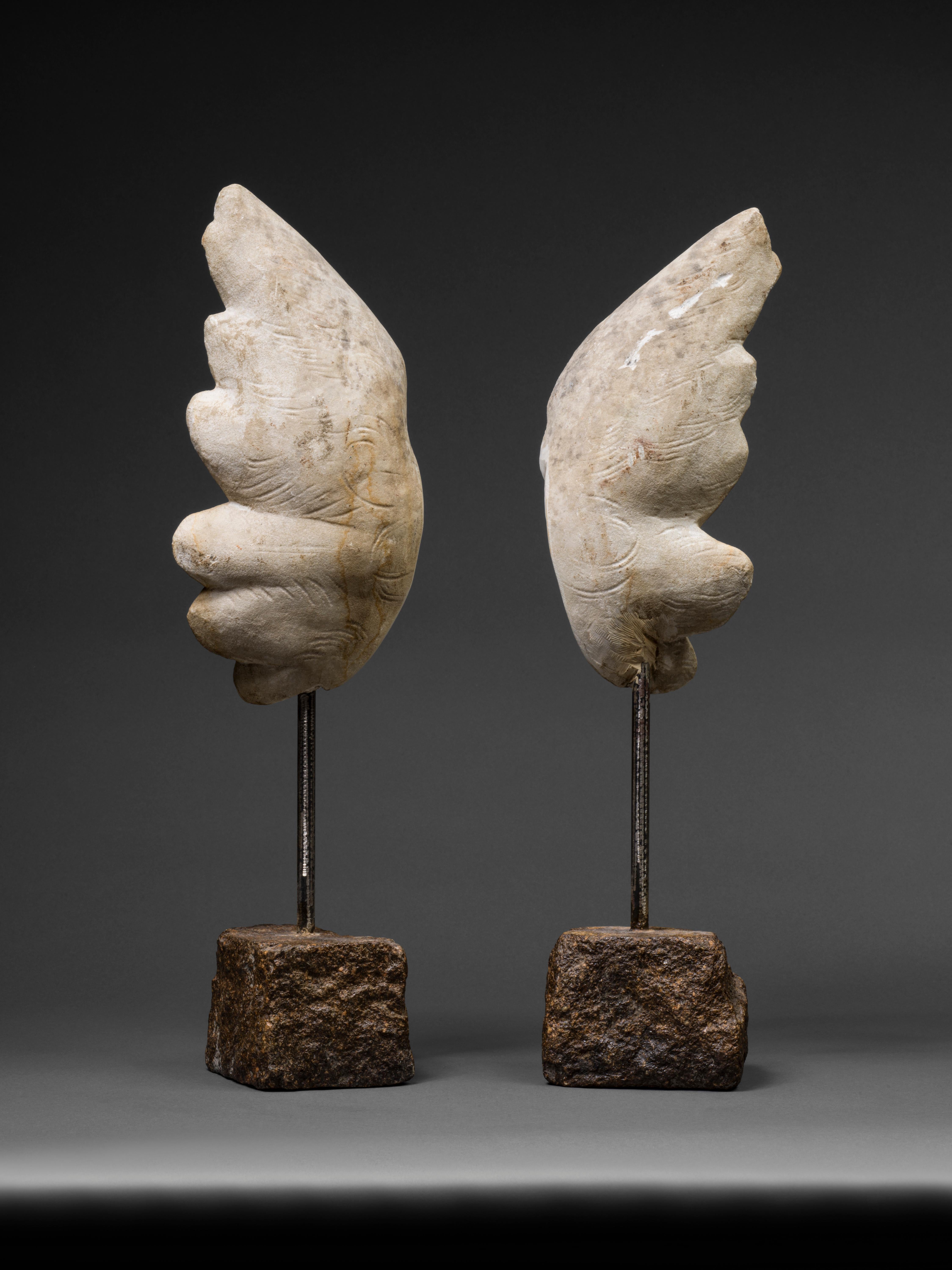 Pair of Italian 16th Century marble wings - Sculpture by Unknown