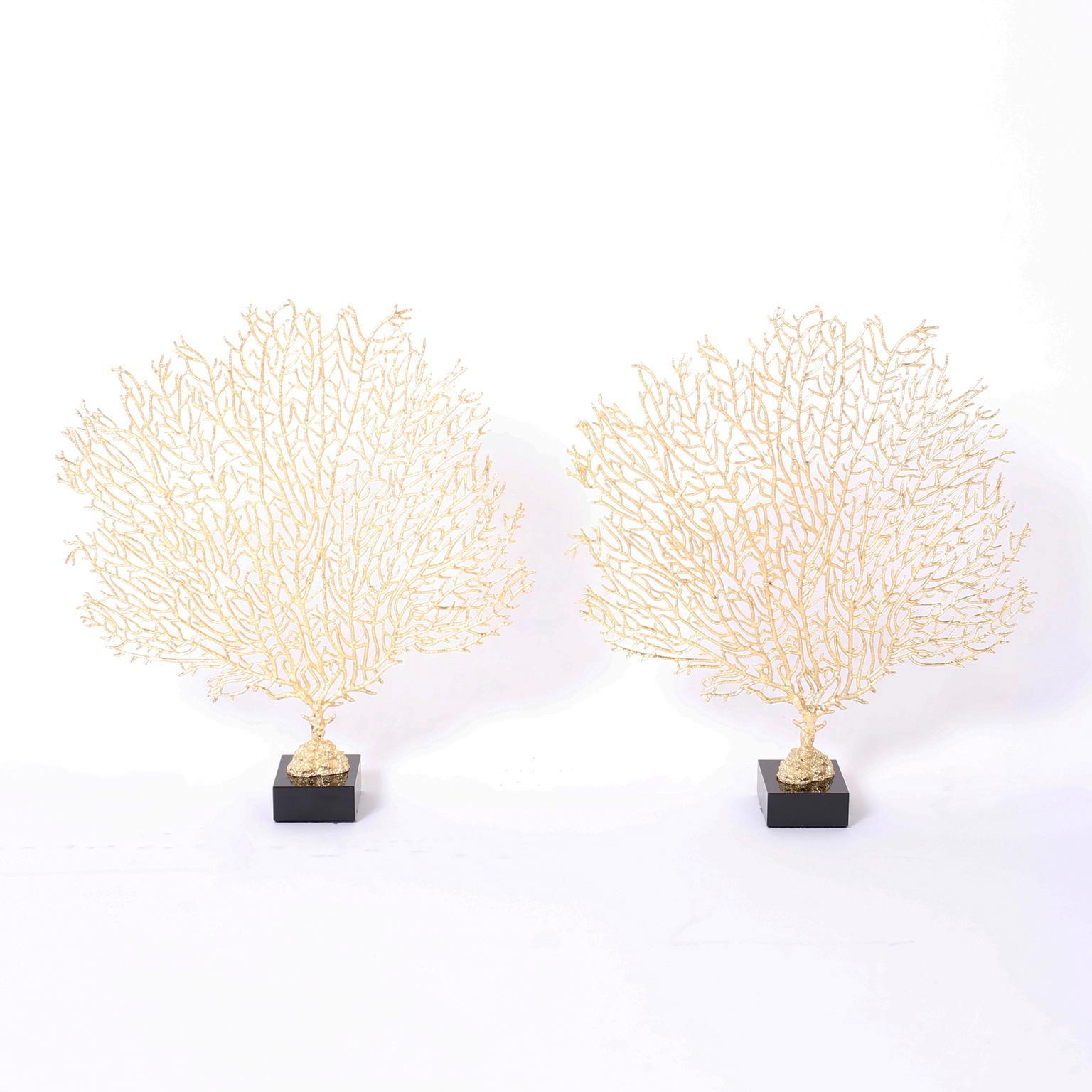 Dramatic pair of midcentury cast metal sea fans with their iconic form finished in gold leaf and presented on black glass bases.