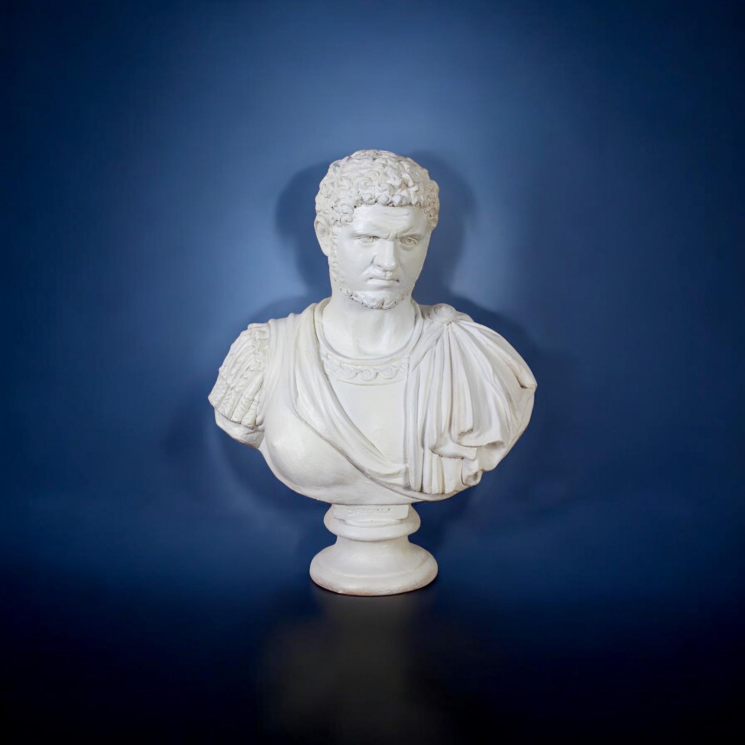 Pair of  Neoclassical  Terracotta  Bust of Emperor Caracalla and Cicero For Sale 1