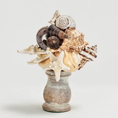 Pair of Seashell Sculptures on Wood Bases