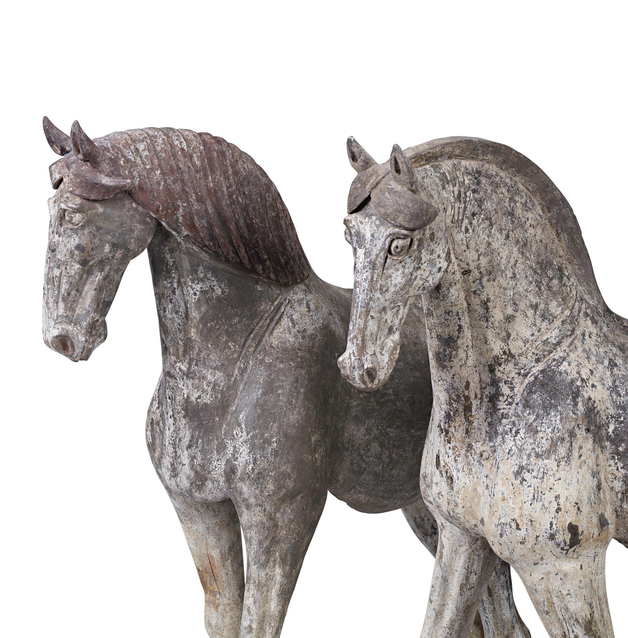 Pair Of Tang Dynasty Horses 1