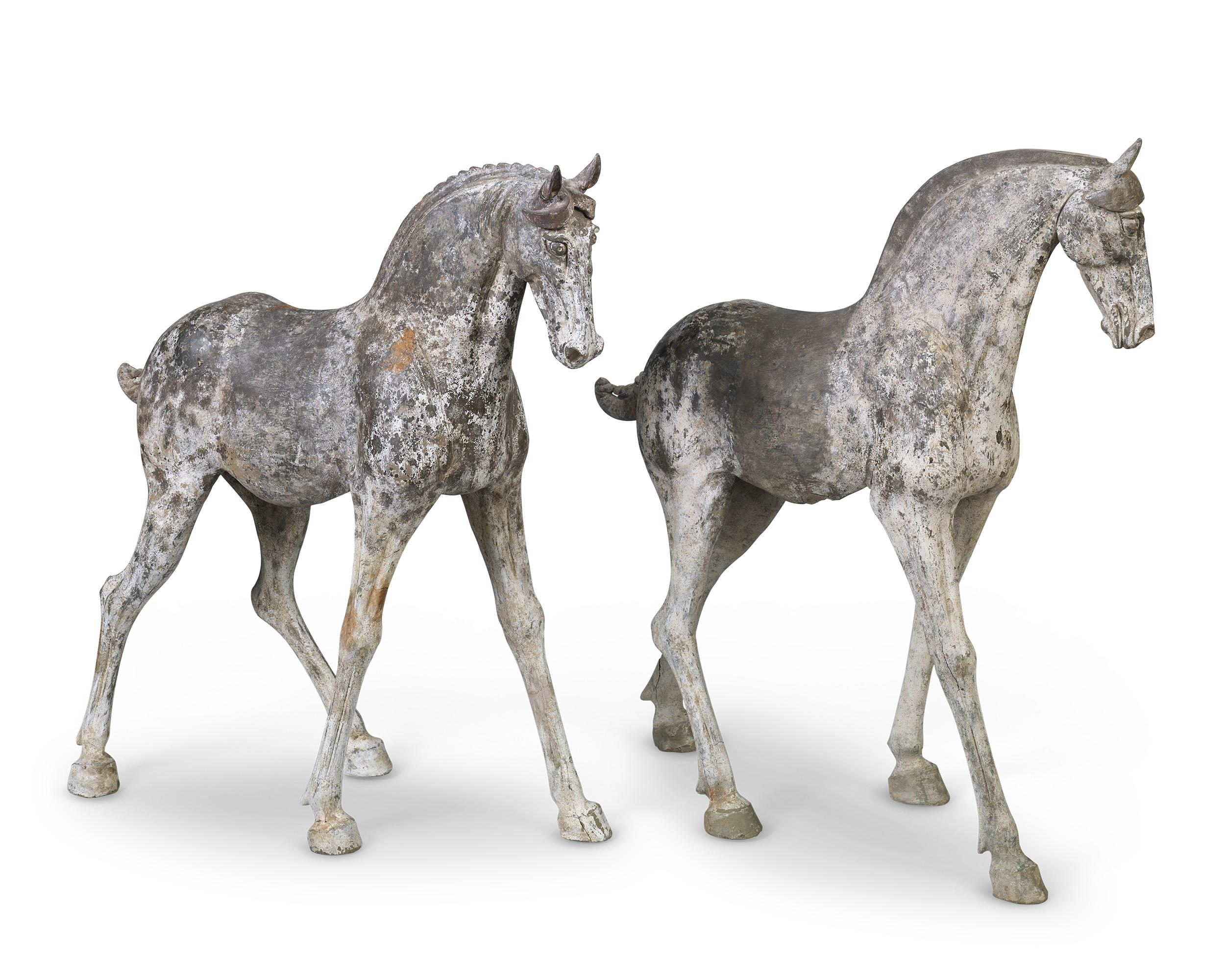 Unknown Figurative Sculpture - Pair Of Tang Dynasty Horses