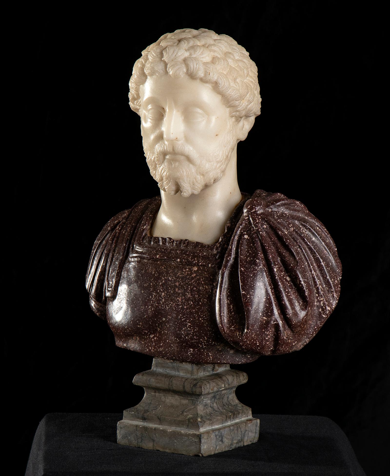 Pair Red Porphyry and White Marble Sculpture Busts Of Roman Emperors Grand Tour 6