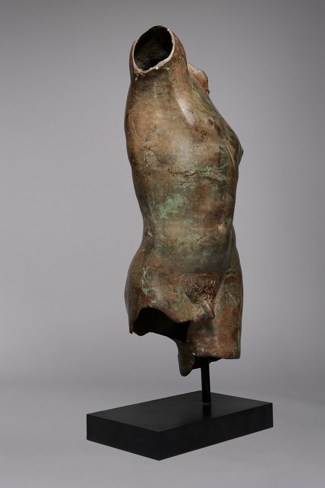 Patinated Bronze Torso after the Antique, 19th/20th Century - Sculpture by Unknown