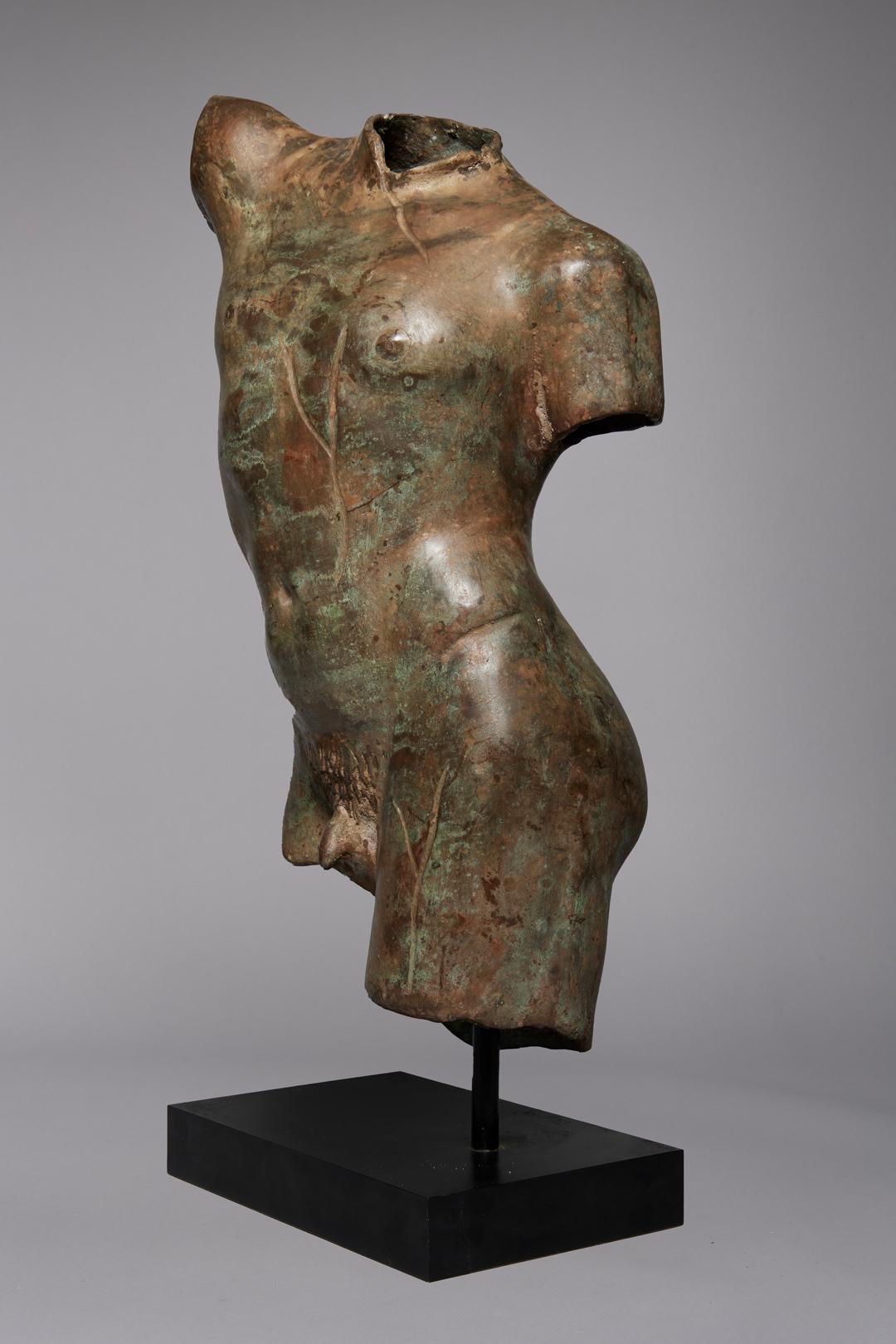 Patinated Bronze Torso after the Antique, 19th/20th Century For Sale 2