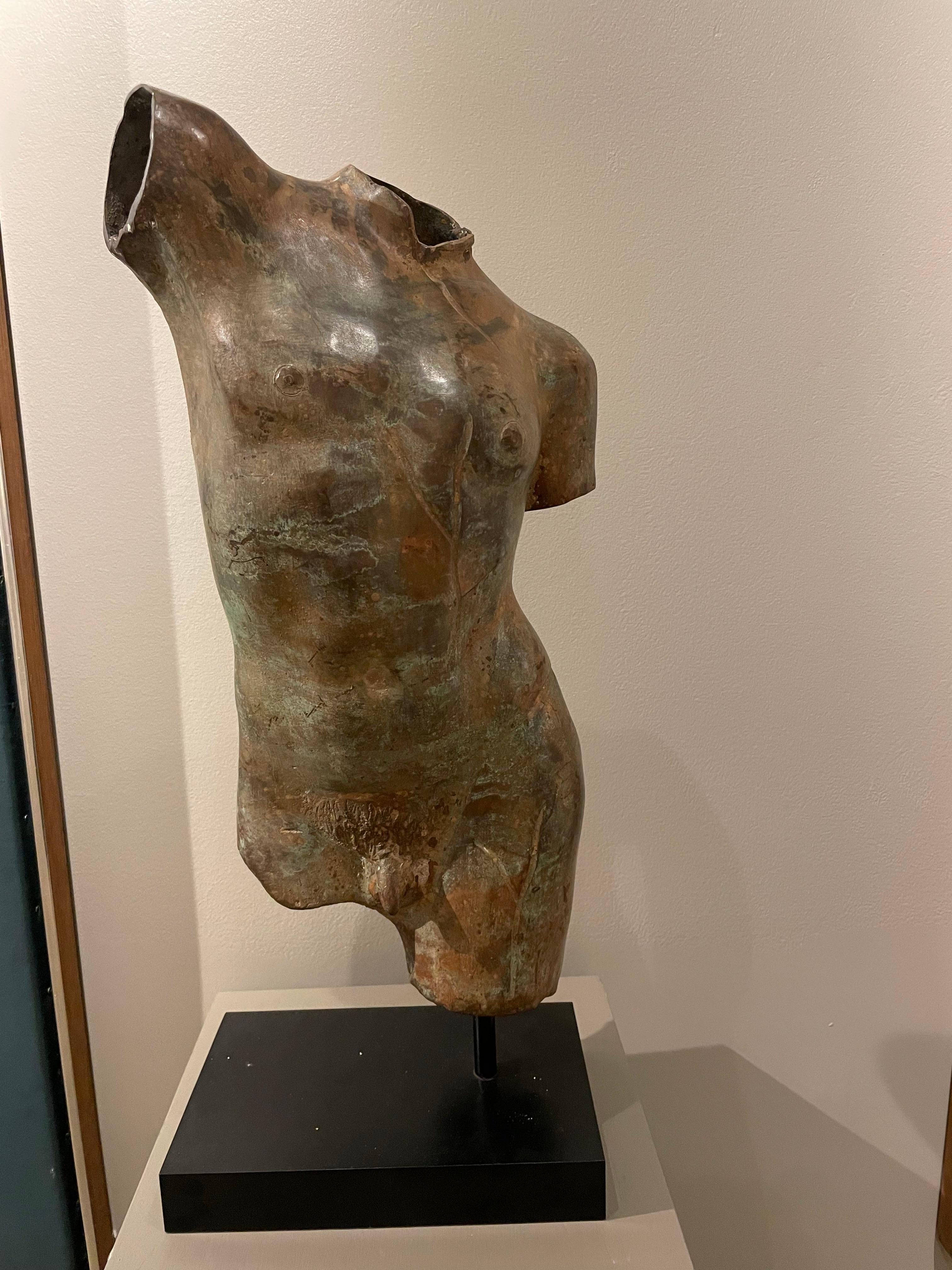 Patinated Bronze Torso after the Antique, 19th/20th Century For Sale 3
