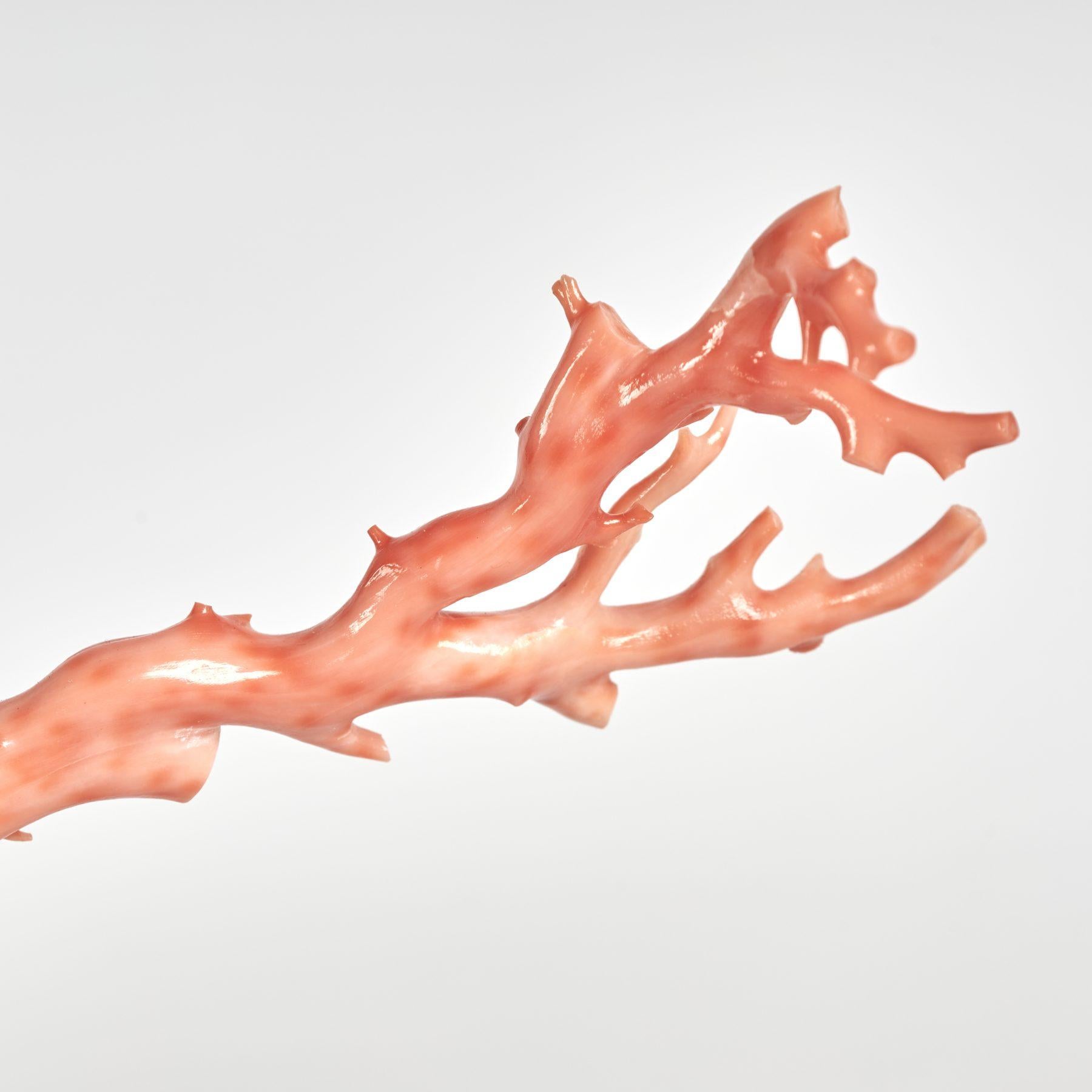 Pink Coral Specimen on Lucite Base For Sale 2