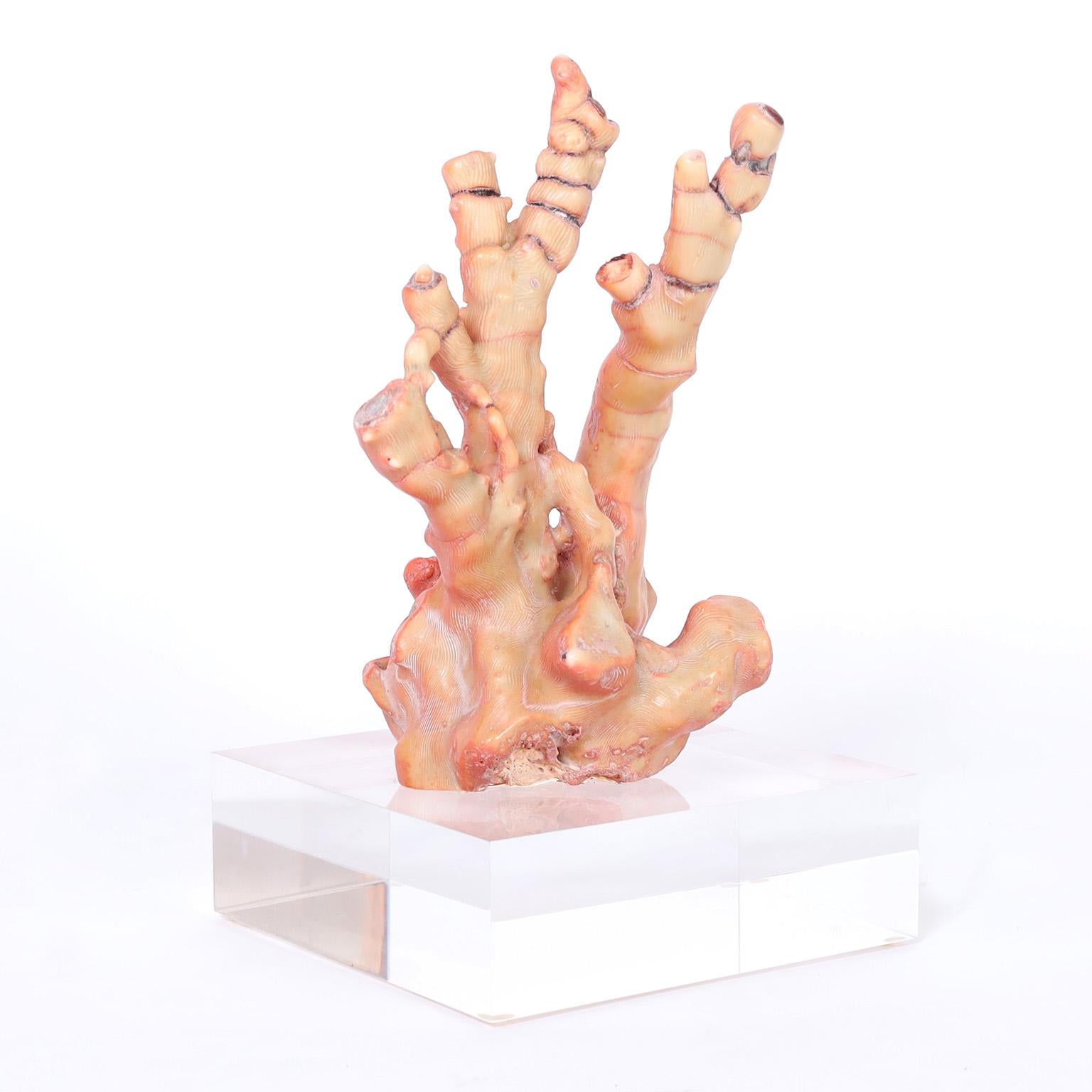 Red Coral Sculpture For Sale 2