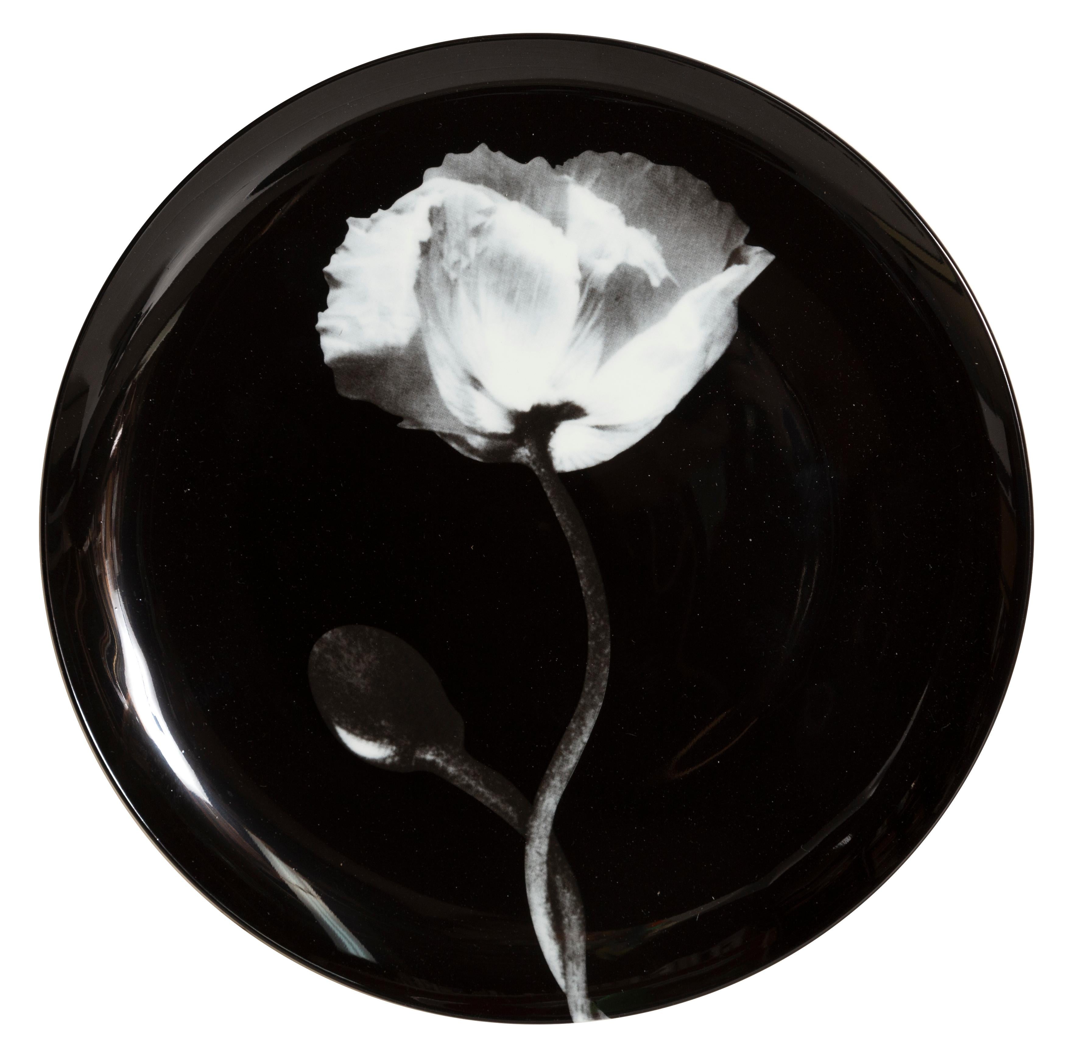 A pair of limited edition ceramic plates incorporating Robert Mapplethorpe’s Cala Lily and Poppy Flower photographic images. This set is new, plastic-wrapped in box, mint condition. Published by Nuit Blanche, Paris in conjunction with the Robert