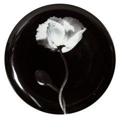 Robert Mapplethorpe, Pair of Porcelain Plates