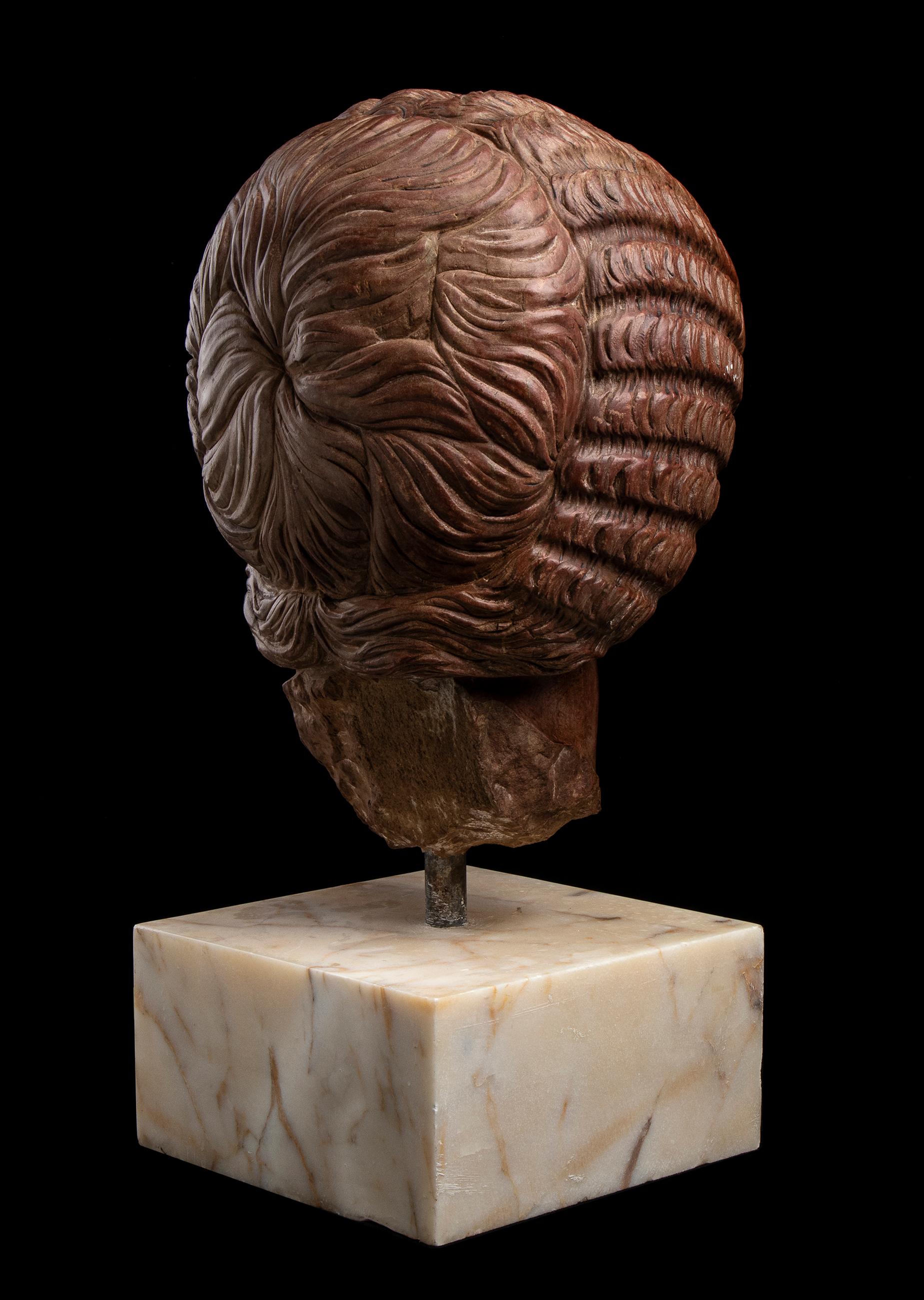 Roman Red Marble Sculpture Portrait Empress Julia Domna 19th Century For Sale 3