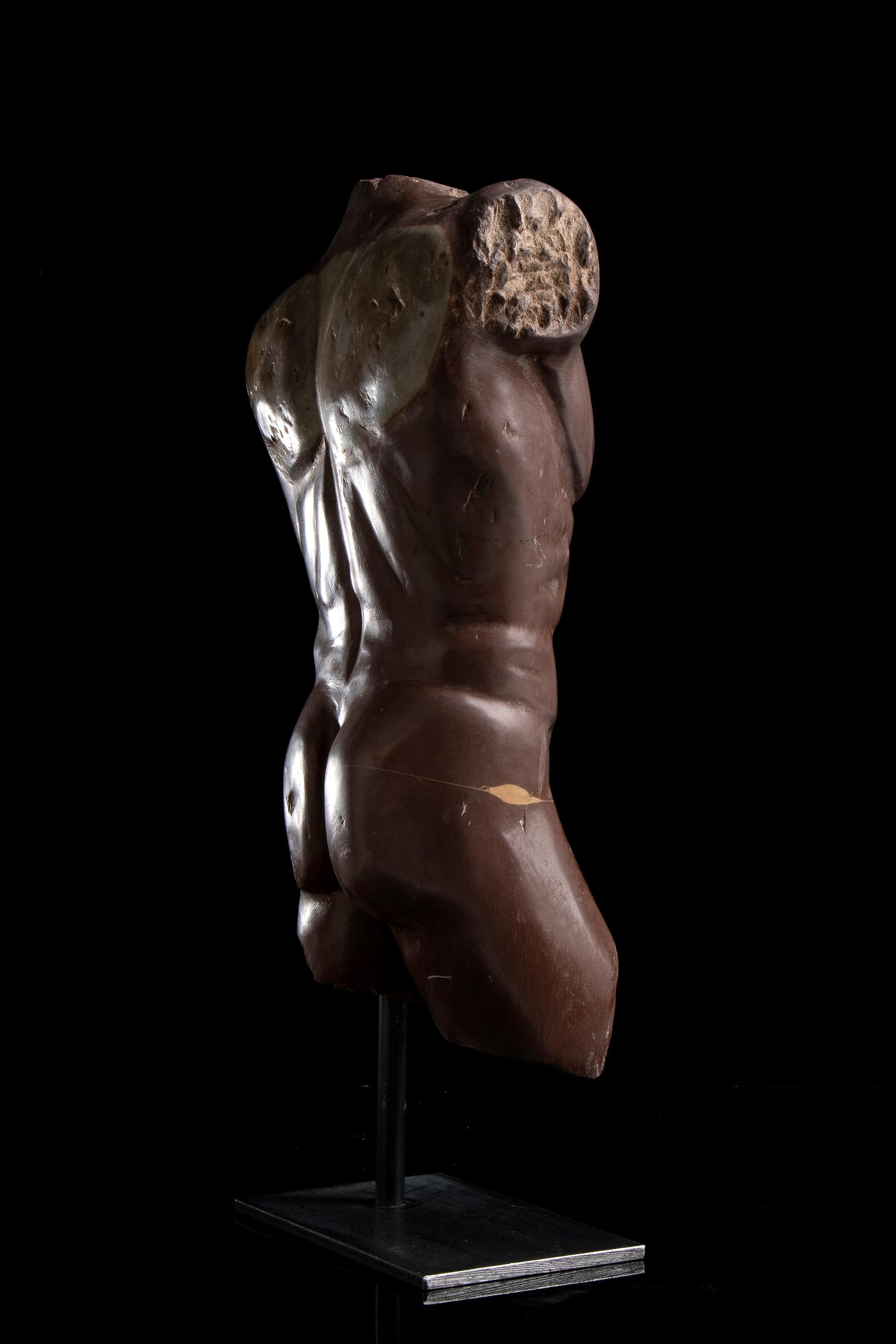 Rosso Antico Specimen Marble Male Sculpture Torso of Athlete Nude Figurative 8