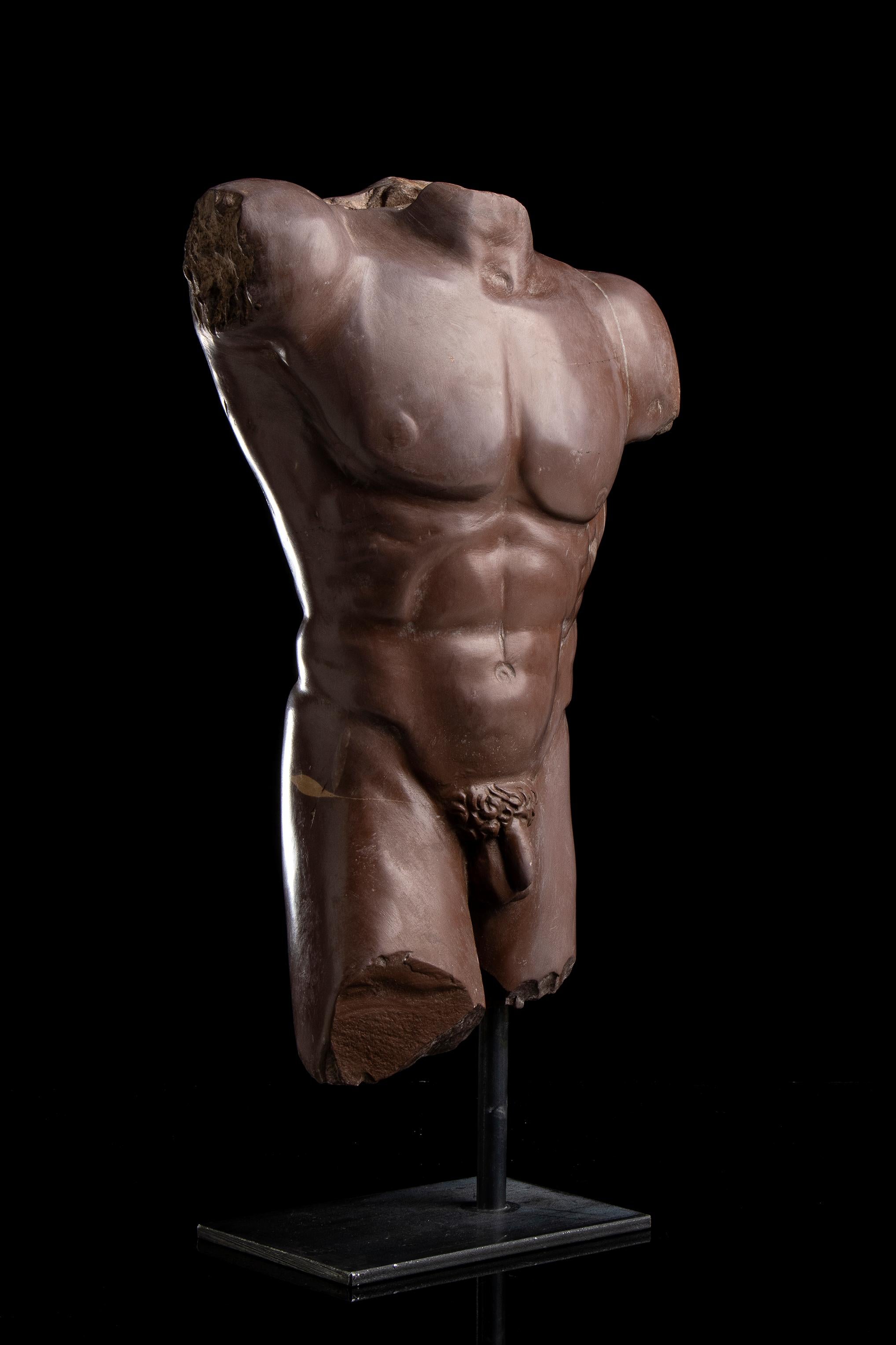 Rosso Antico Specimen Marble Male Sculpture Torso of Athlete Nude Figurative 11
