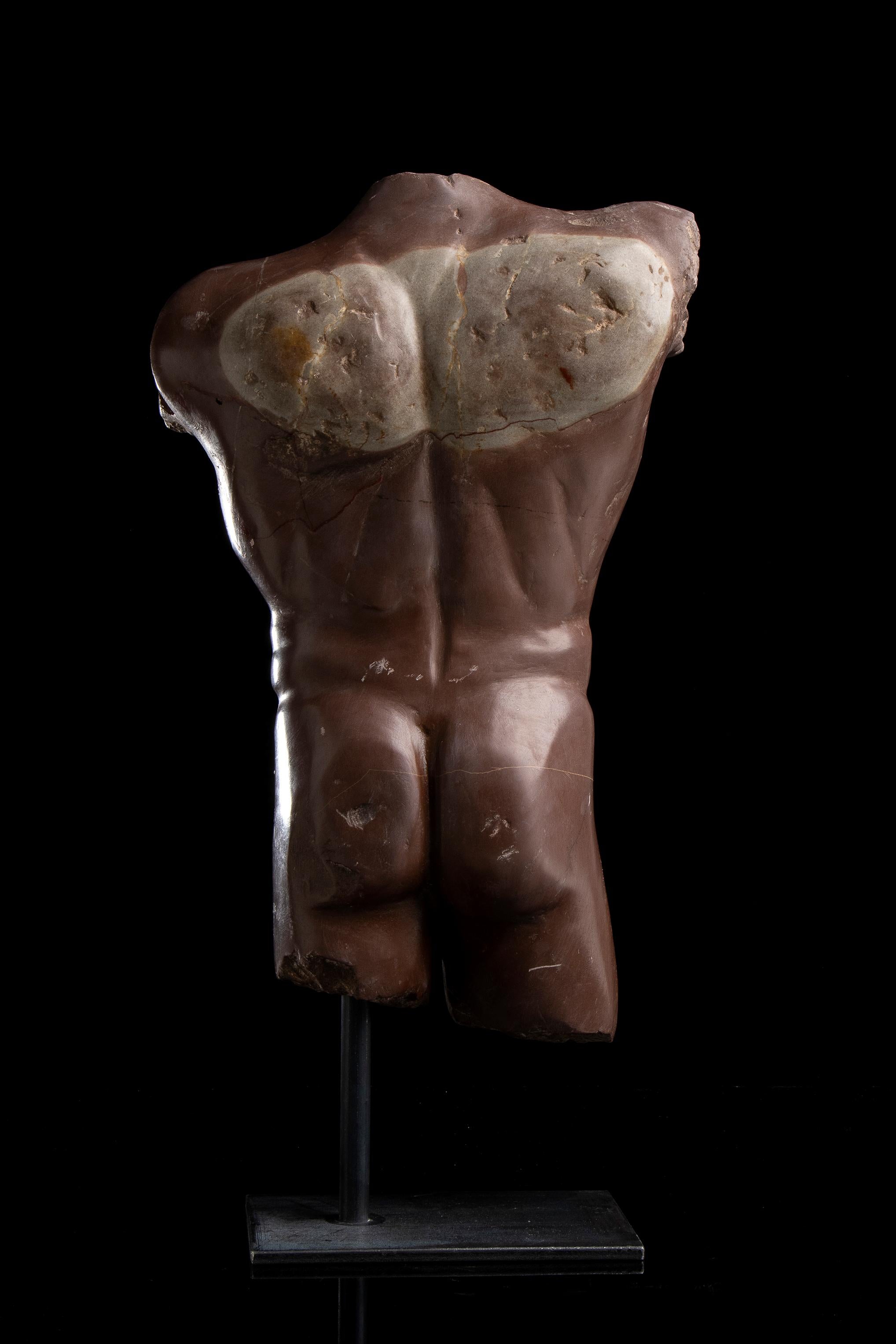 Rosso Antico Specimen Marble Male Sculpture Torso of Athlete Nude Figurative 5