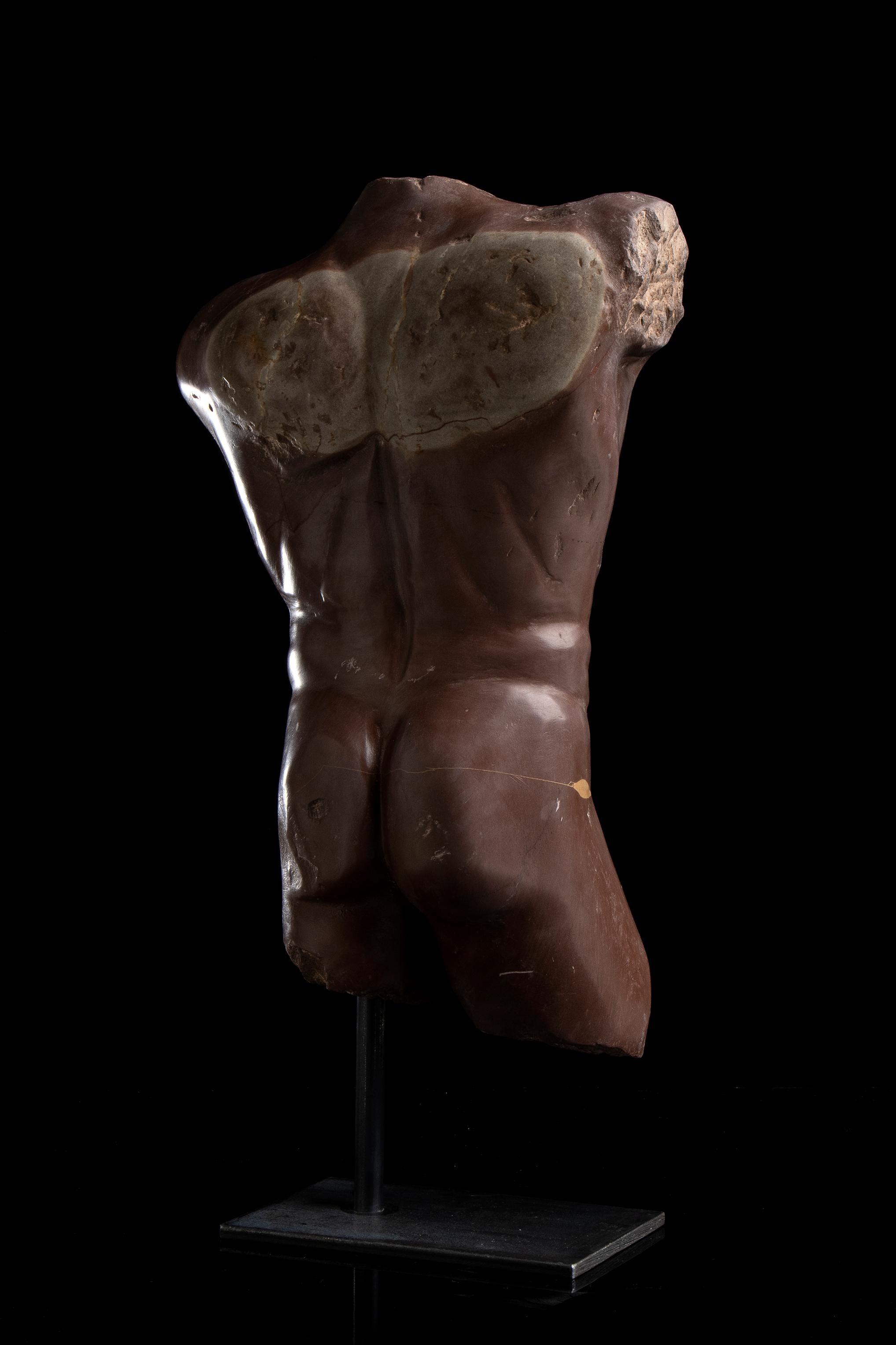 Rosso Antico Specimen Marble Male Sculpture Torso of Athlete Nude Figurative 6