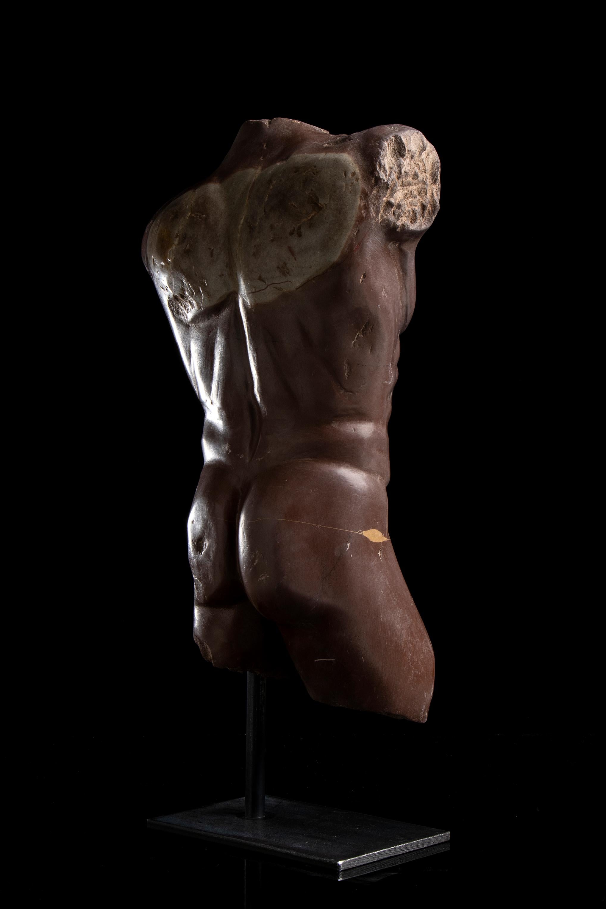 Rosso Antico Specimen Marble Male Sculpture Torso of Athlete Nude Figurative 7