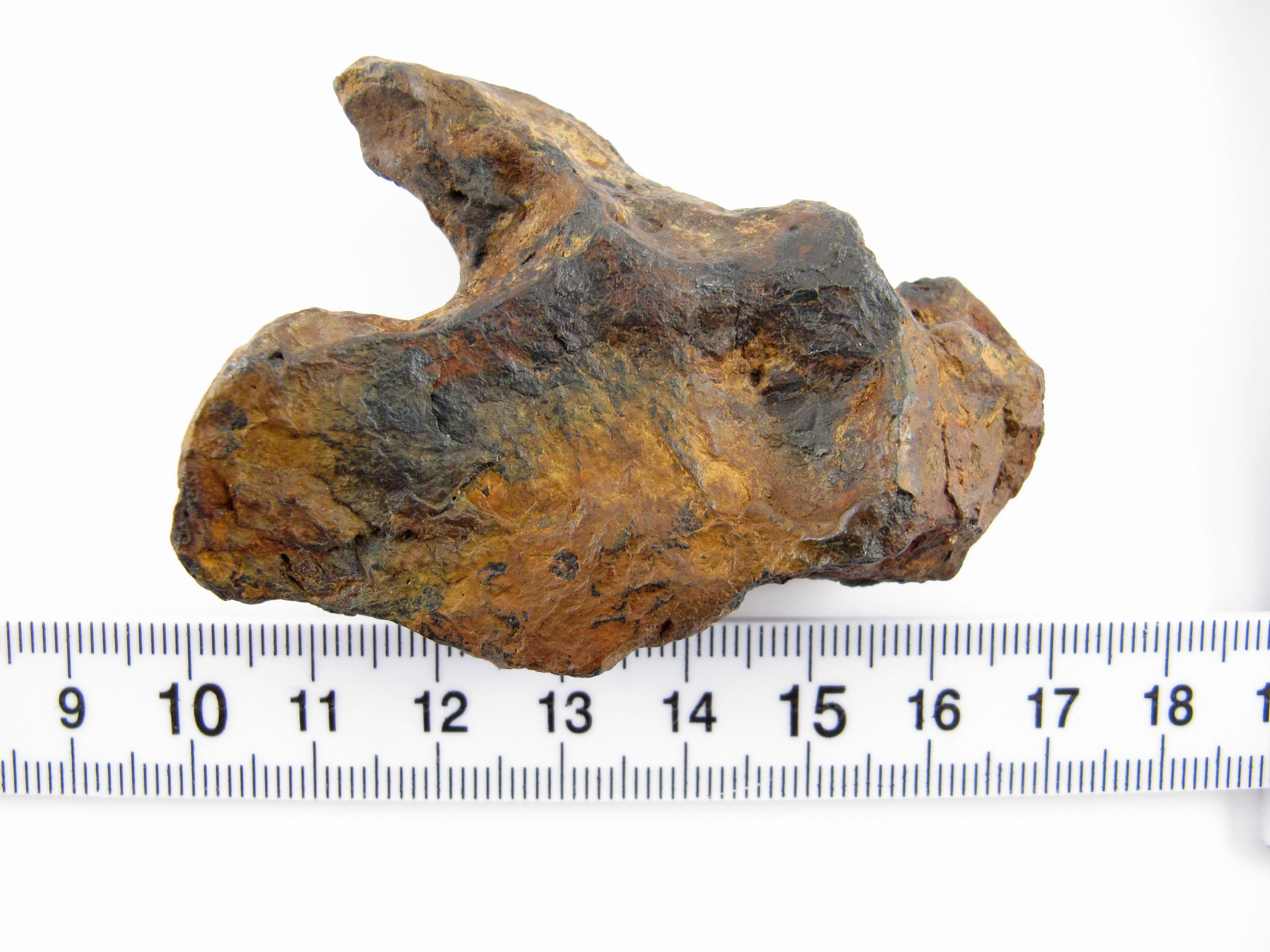 Meteorite Twannberg 128 grammes en forme de fer hexahedrite suisse façonné par la nature TW 1253 en vente 16