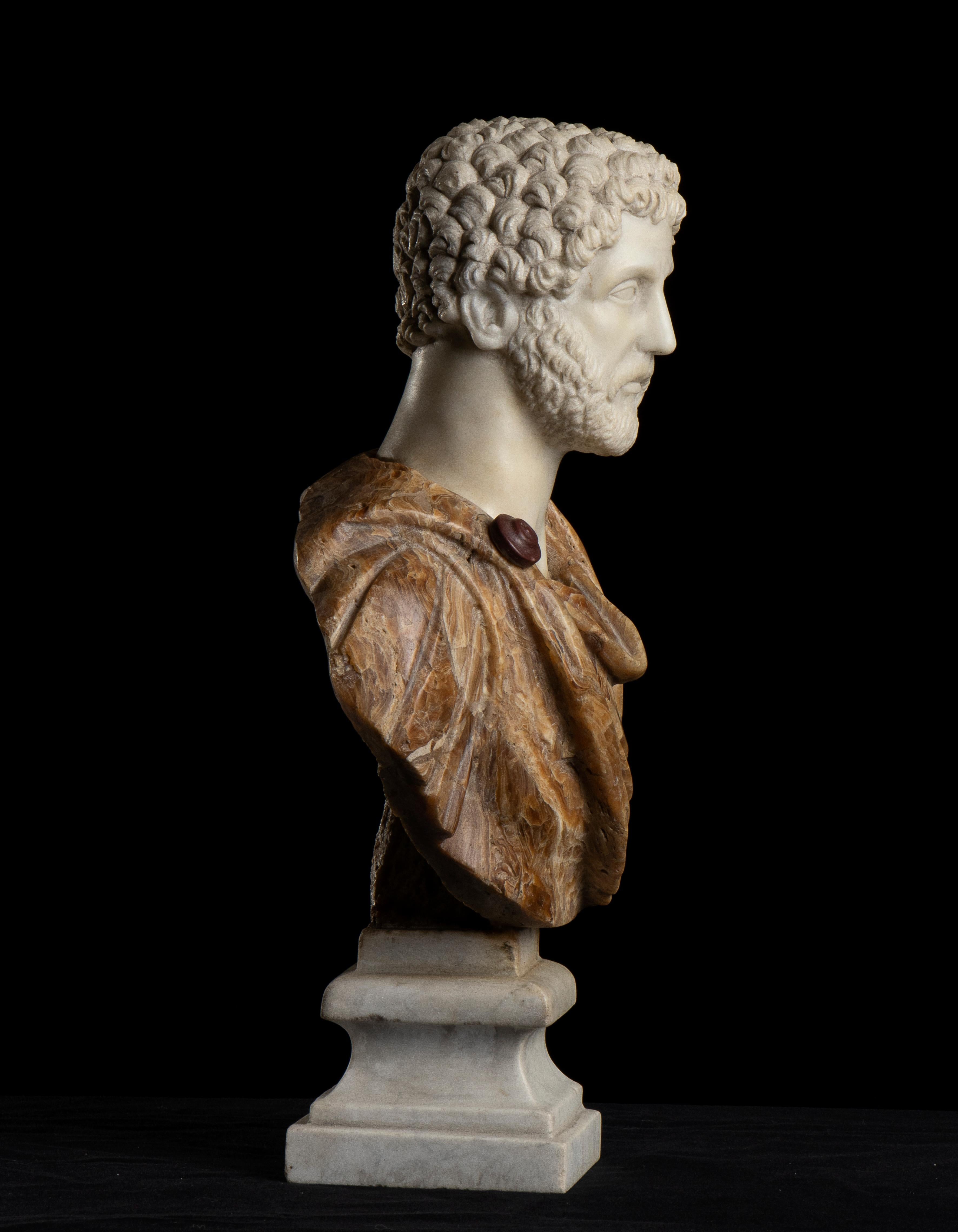 antoninus pius bust