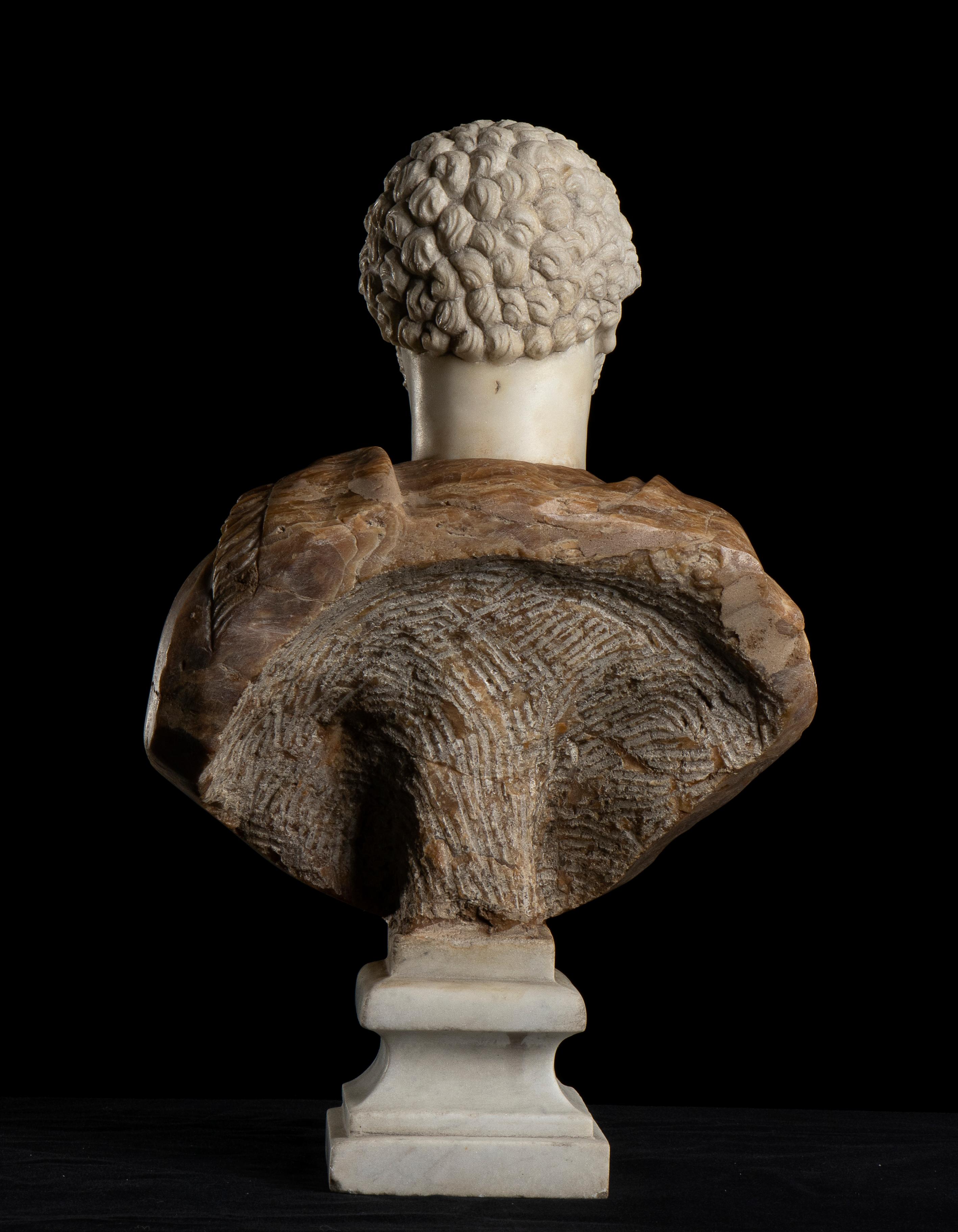 Sculpture Bust Portrait Of Roman Emperor Antoninus Pius Italian Marble Onyx  - Black Figurative Sculpture by Unknown