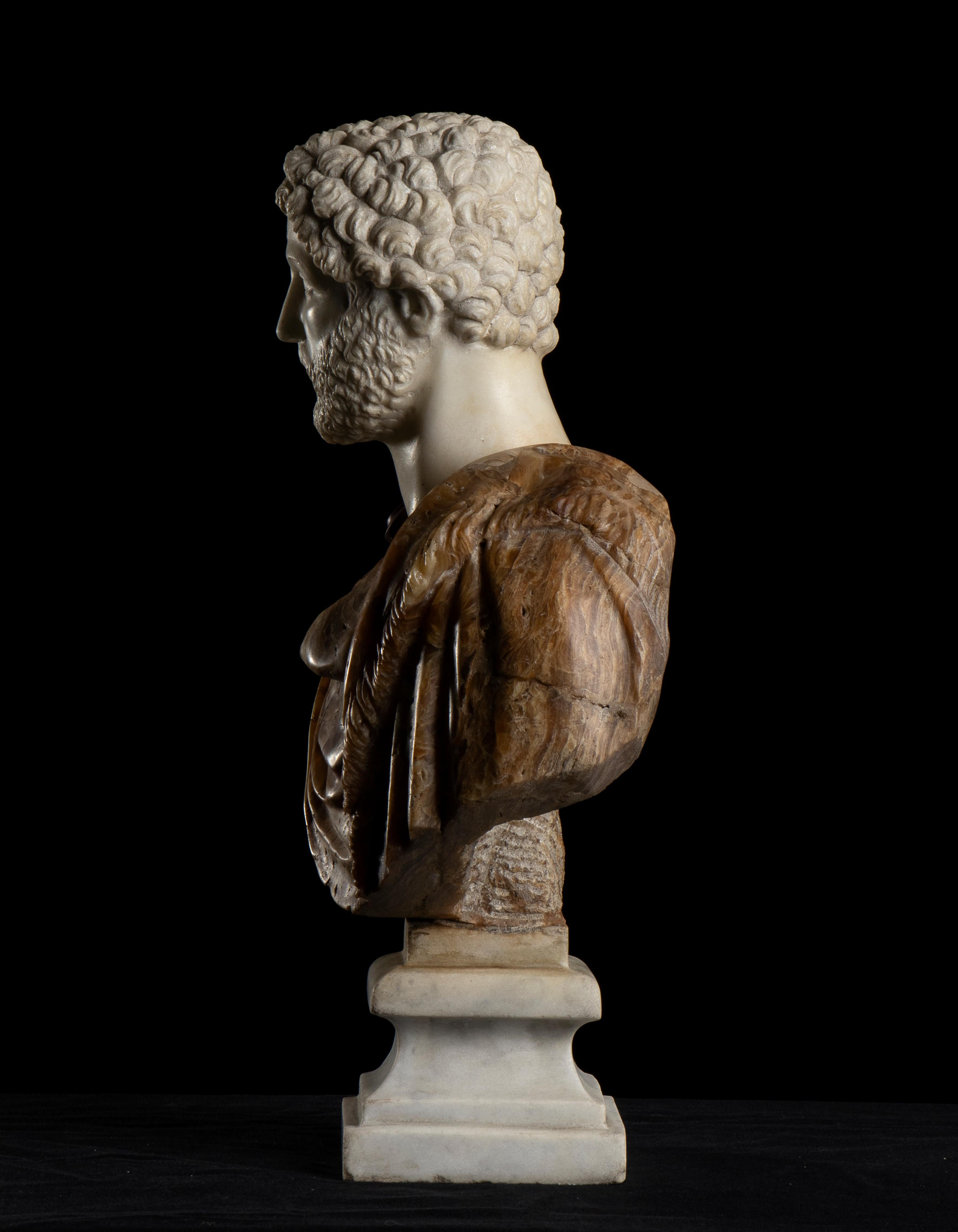 Sculpture Bust Portrait Of Roman Emperor Antoninus Pius Italian Marble Onyx  2