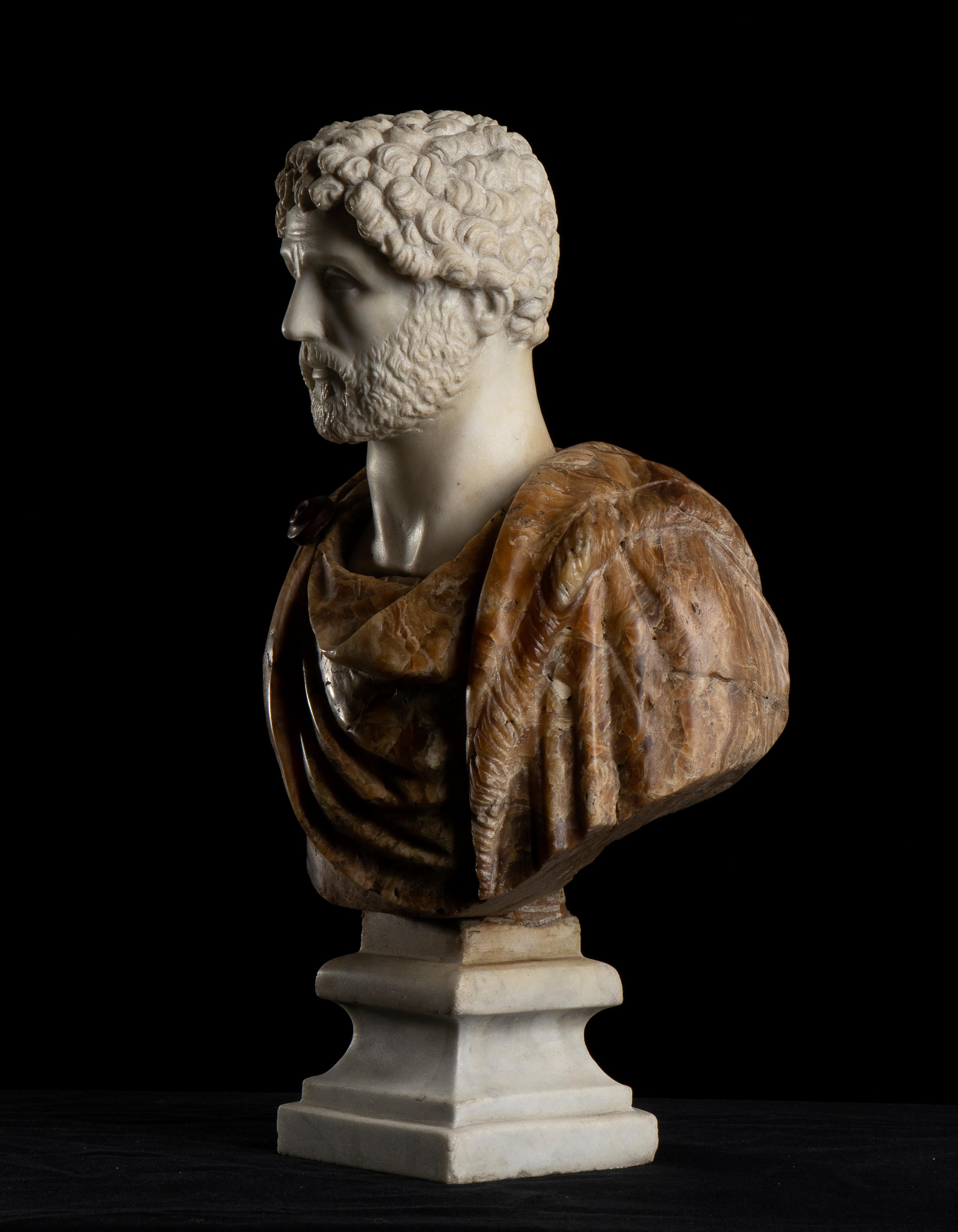 Sculpture Bust Portrait Of Roman Emperor Antoninus Pius Italian Marble Onyx  3