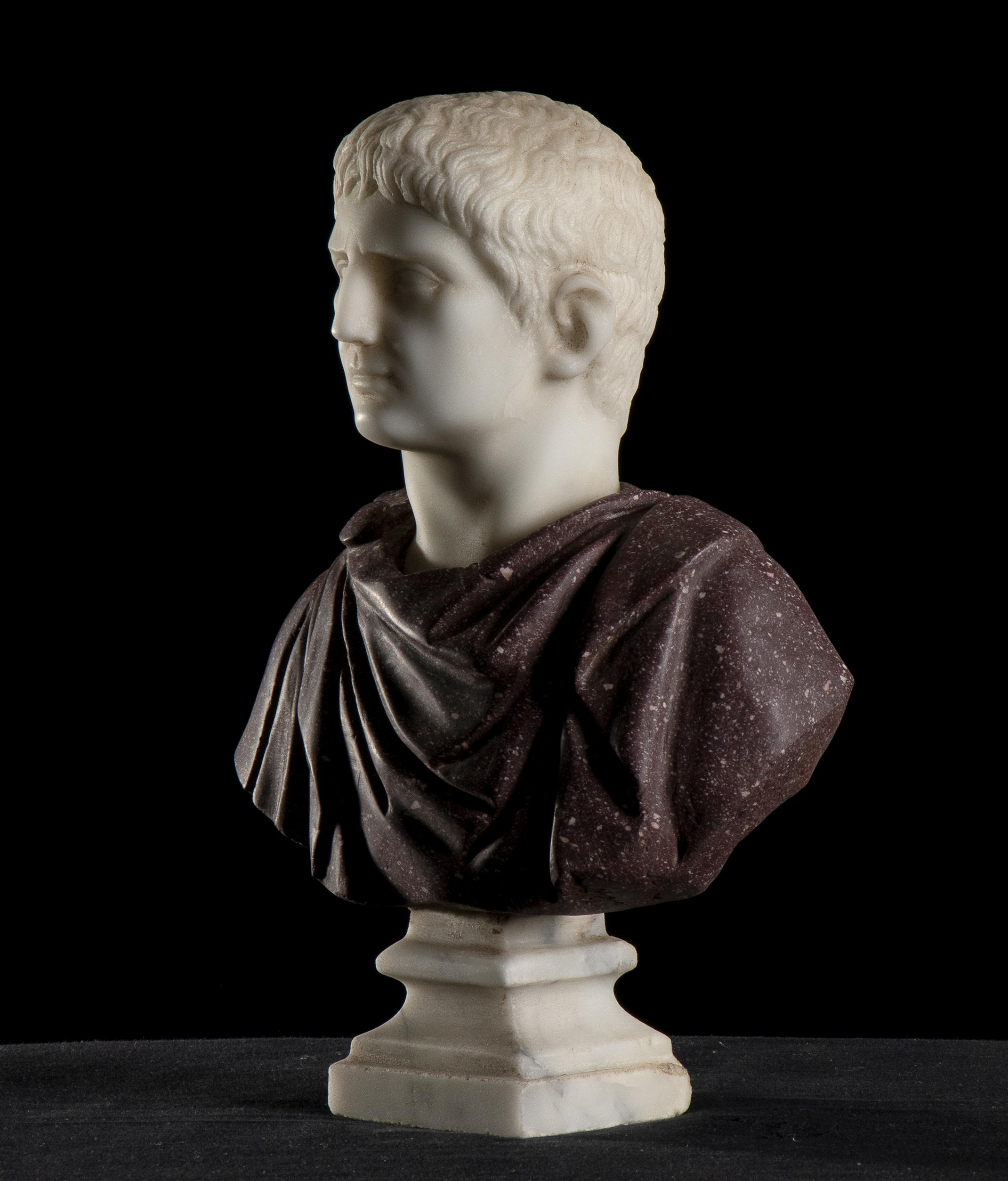 Sculpture  Marble Bust Of Roman Emperor Augustus Porphyry and Statuary Marble 2