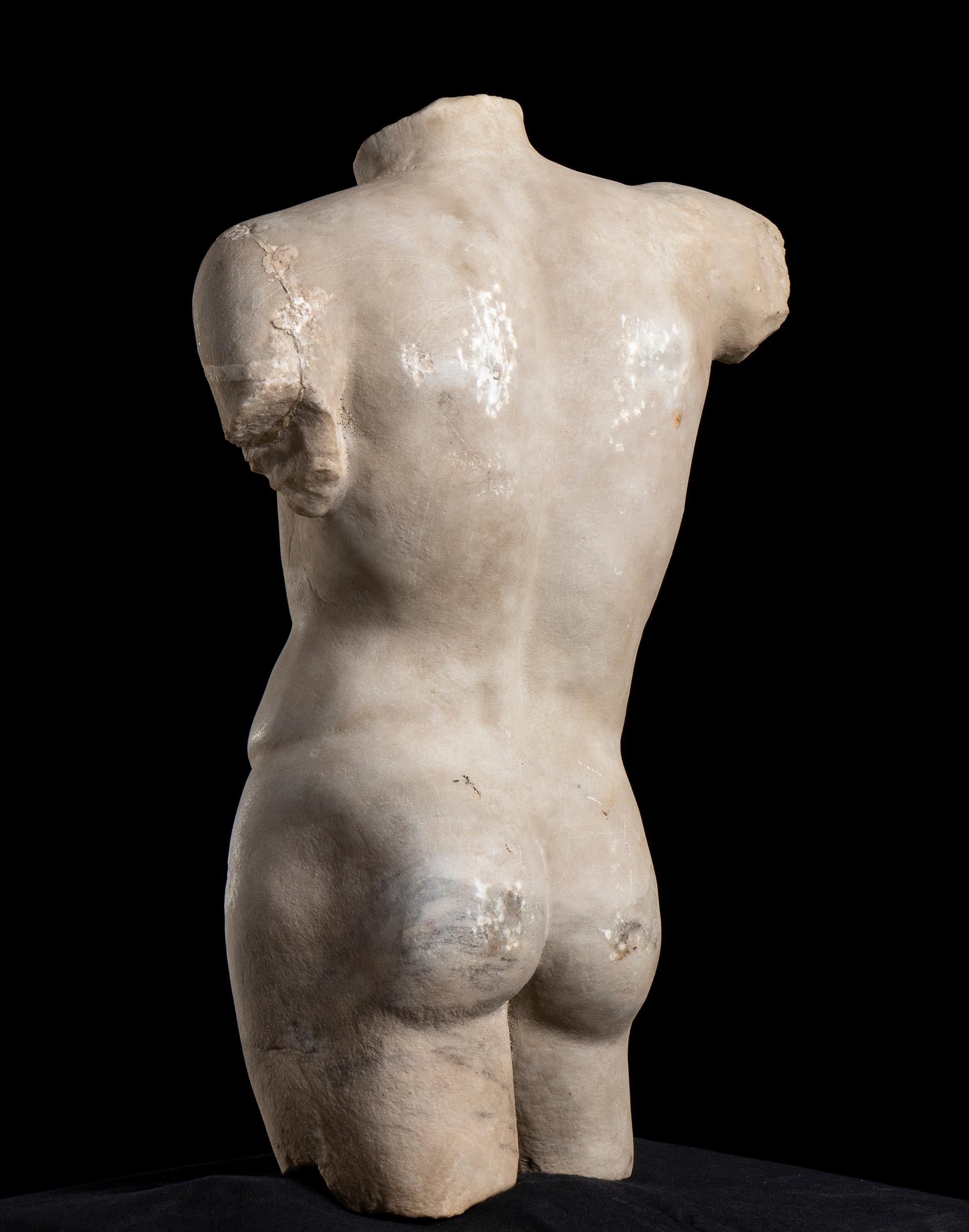 Sculpture  Marble Torso Classical Greek of Doryphoros After Polykleitos   - Black Nude Sculpture by Unknown