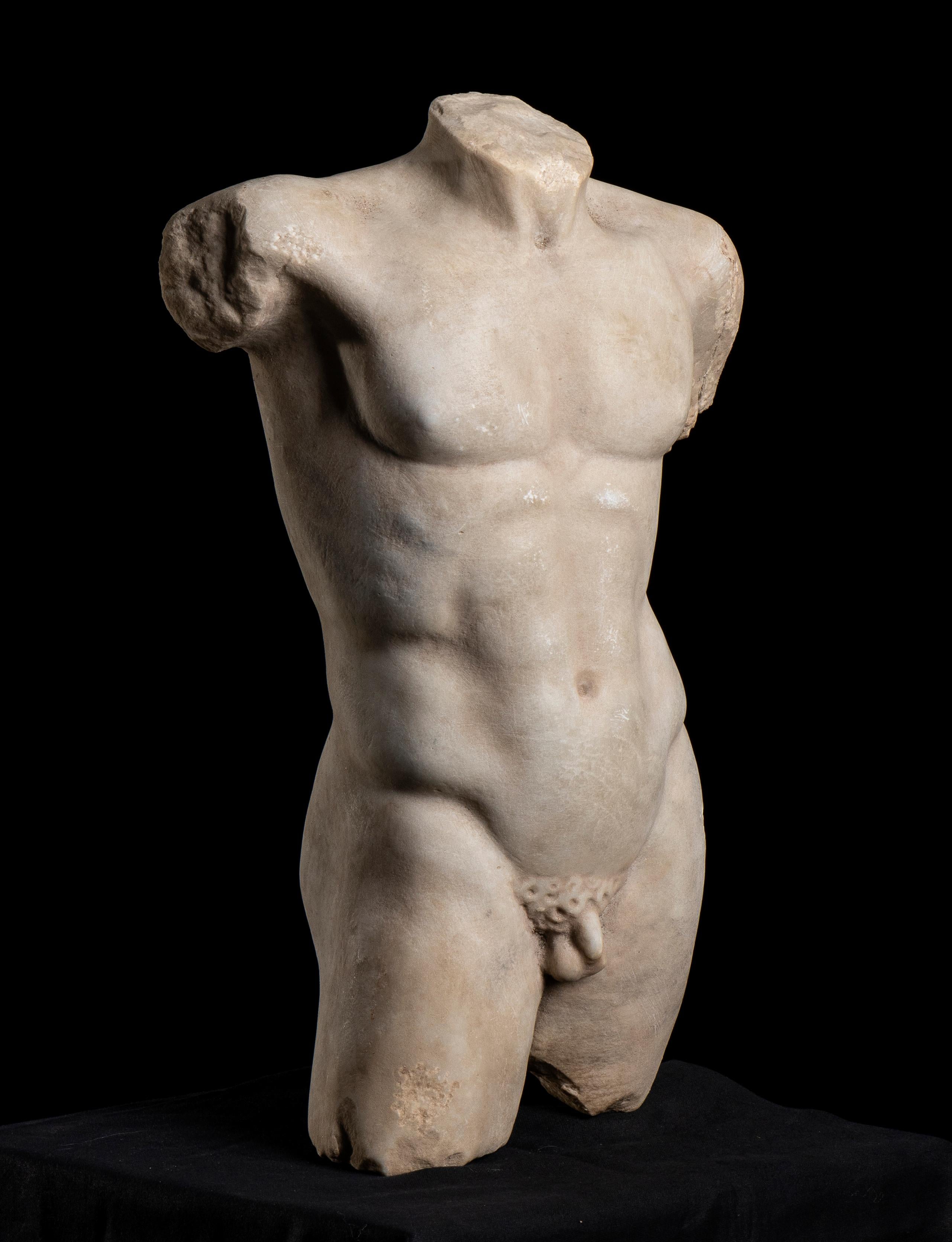 Sculpture  Marble Torso Classical Greek of Doryphoros After Polykleitos   3