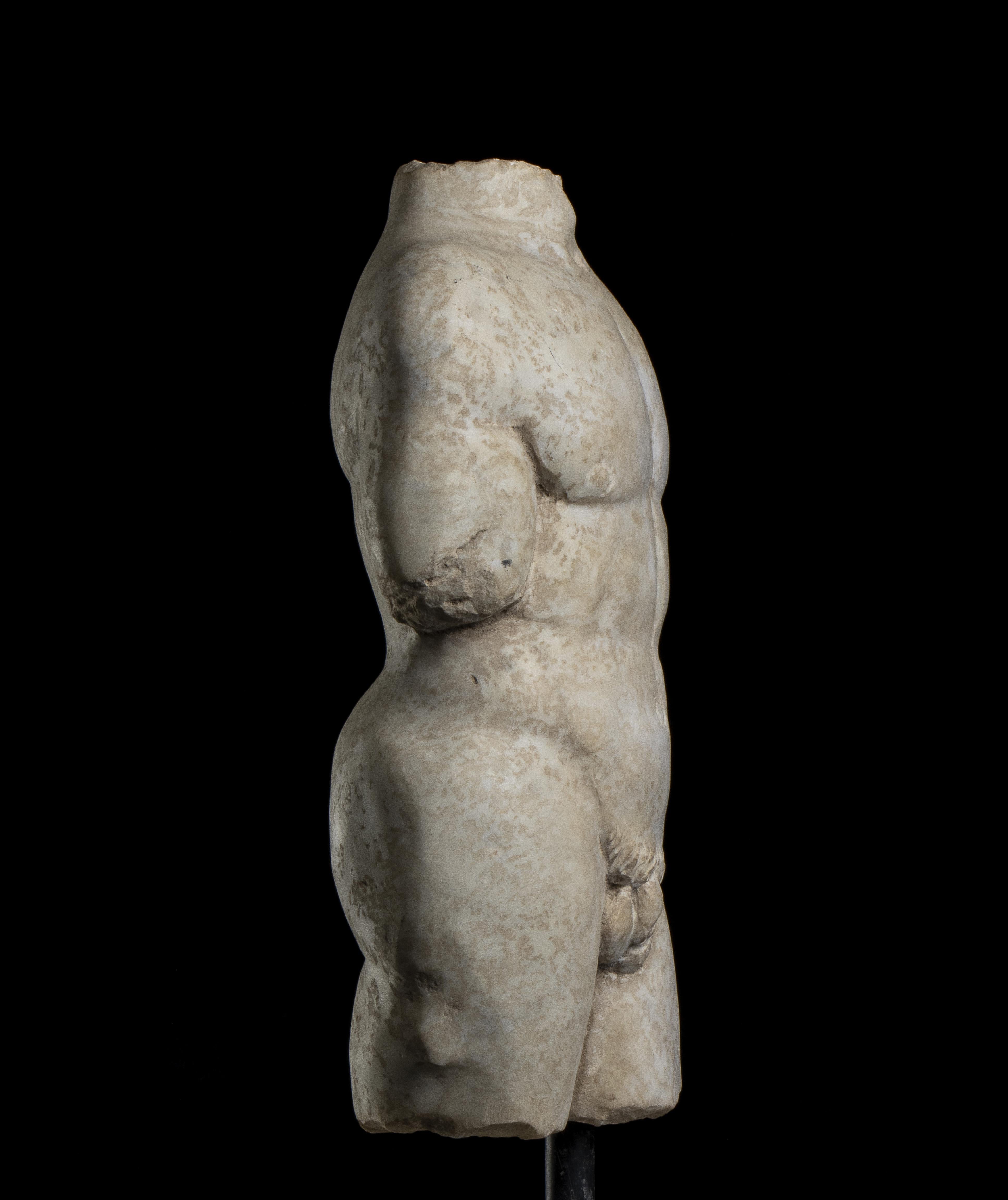 Skulptur Marmor Torso Mann Klassische römische Grand Tour Stil 20. Jahrhundert Italienische Skulptur im Angebot 2