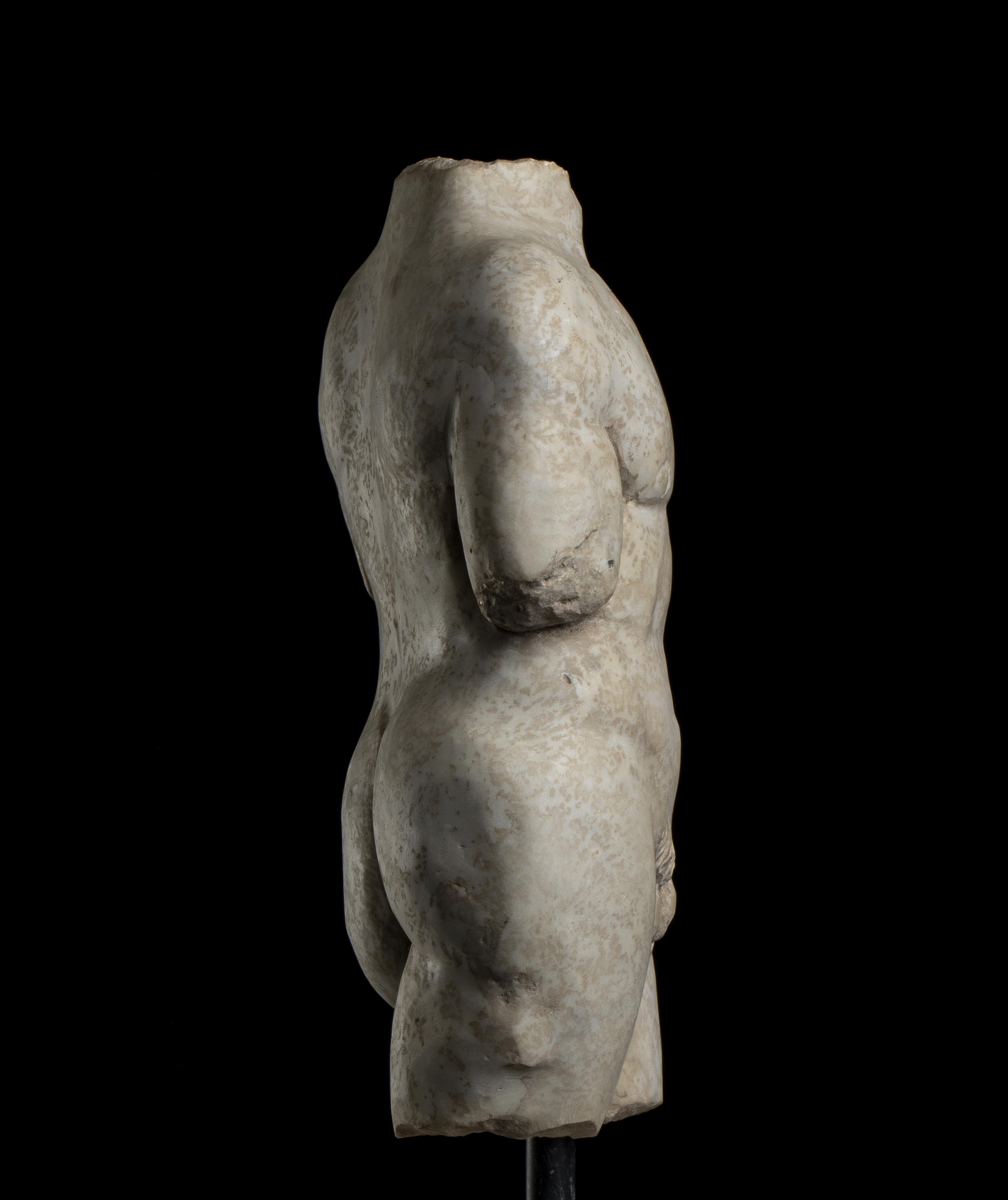 Sculpture Marble Torso Man Classical Roman Grand Tour Style 20th Century italian For Sale 5