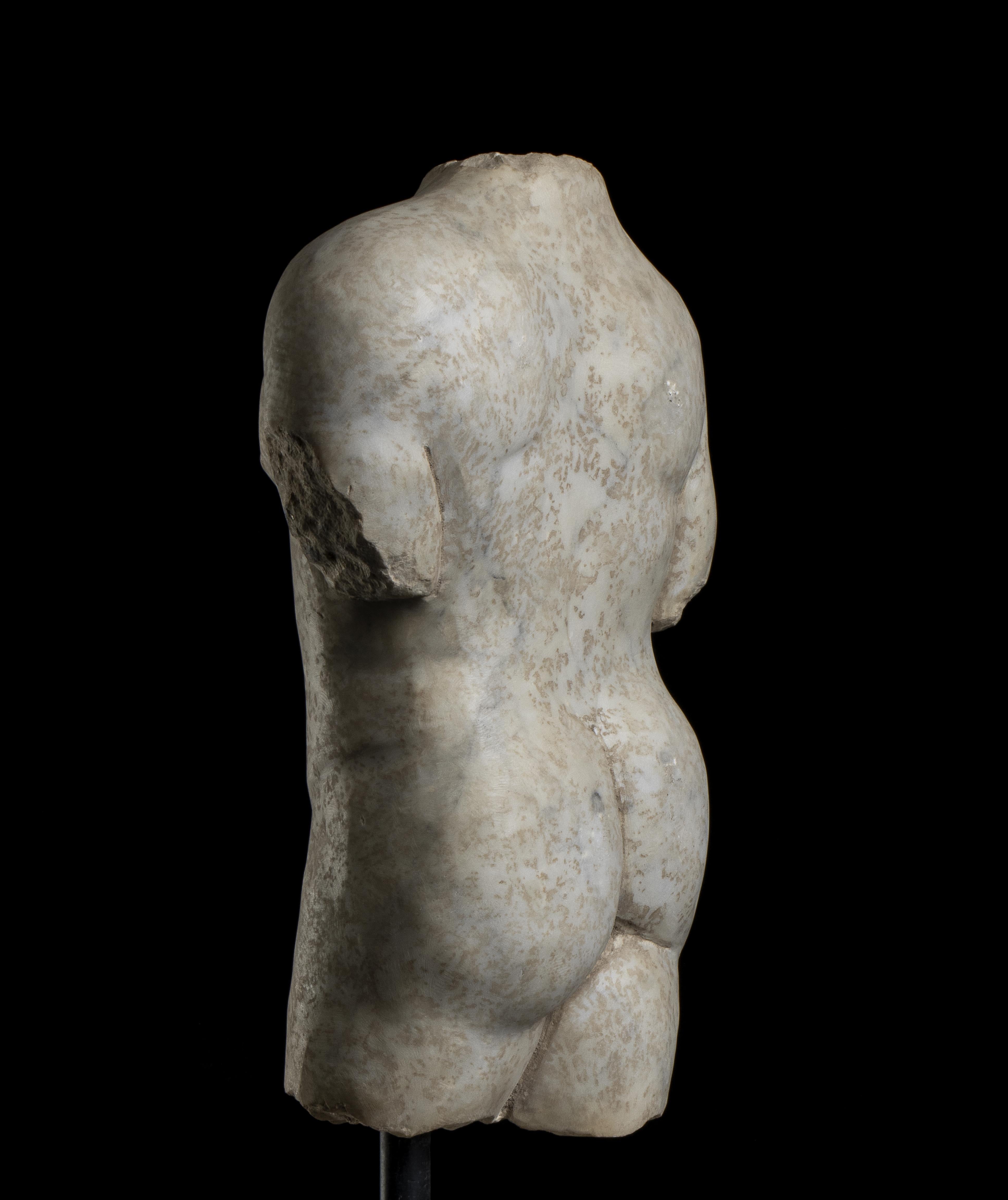 Sculpture Marble Torso Man Classical Roman Grand Tour Style 20th Century italian For Sale 6