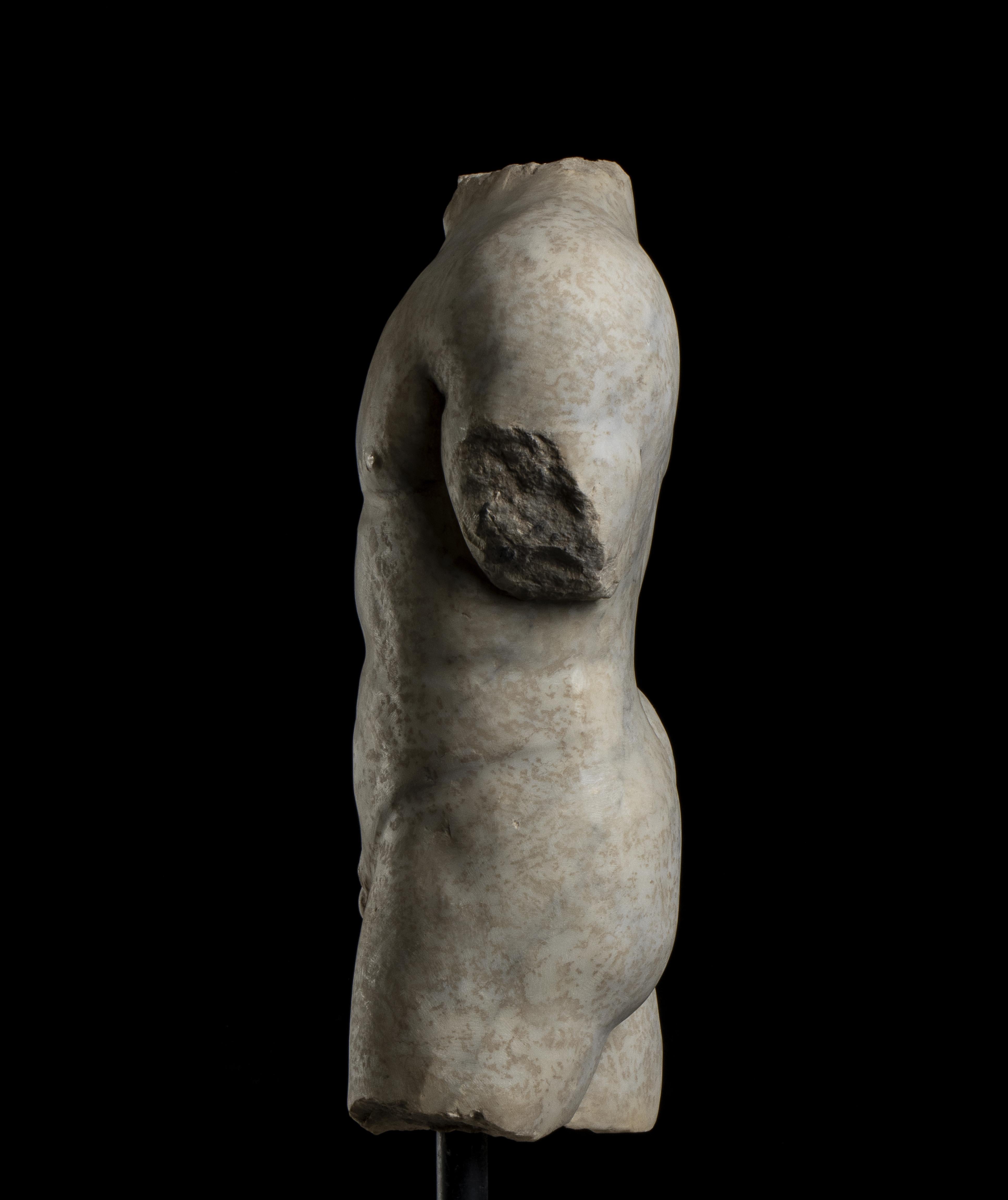 Skulptur Marmor Torso Mann Klassische römische Grand Tour Stil 20. Jahrhundert Italienische Skulptur im Angebot 5