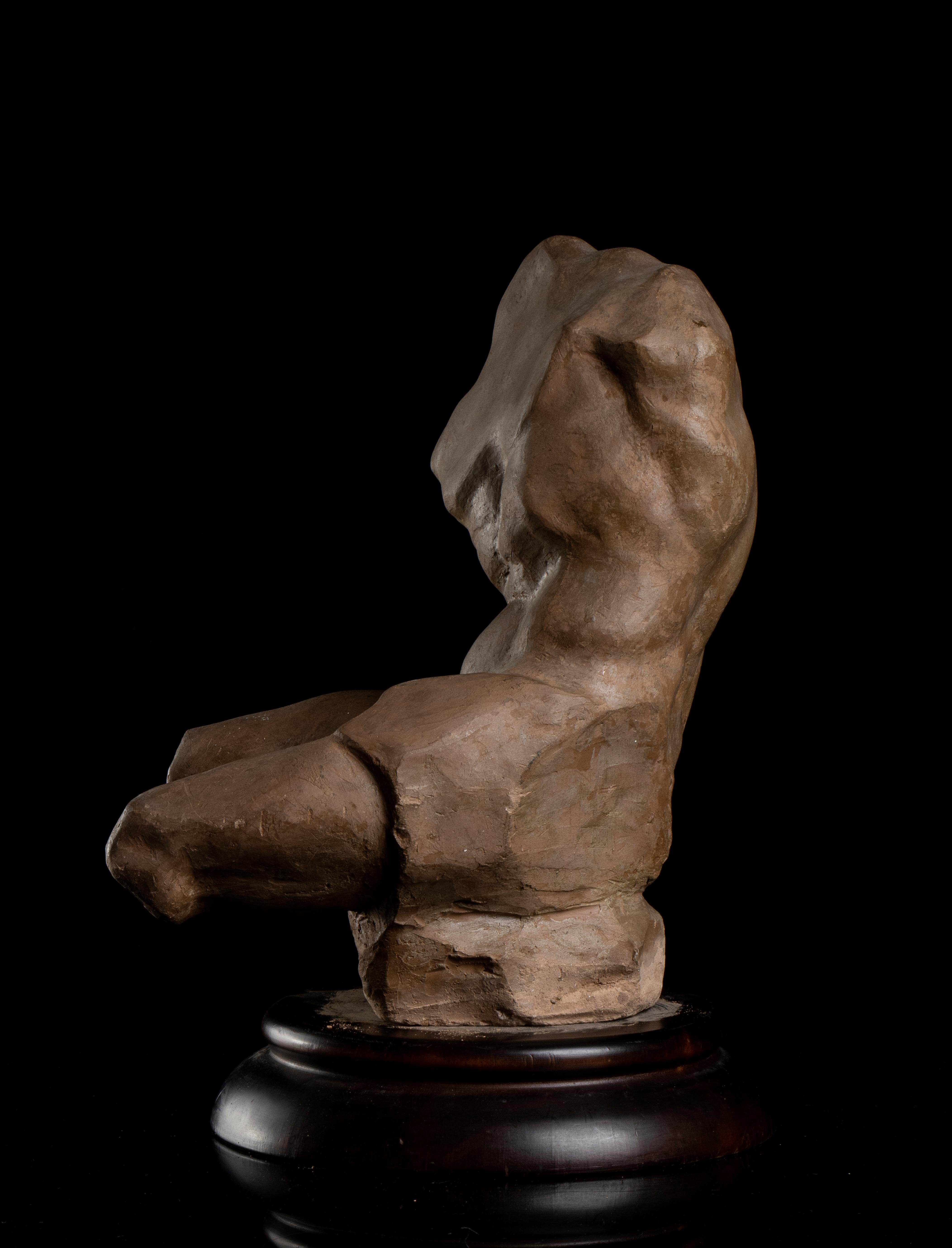  Sculpture Torso Belvedere Grand Tour Style 19th Century Terracotta Academical For Sale 8