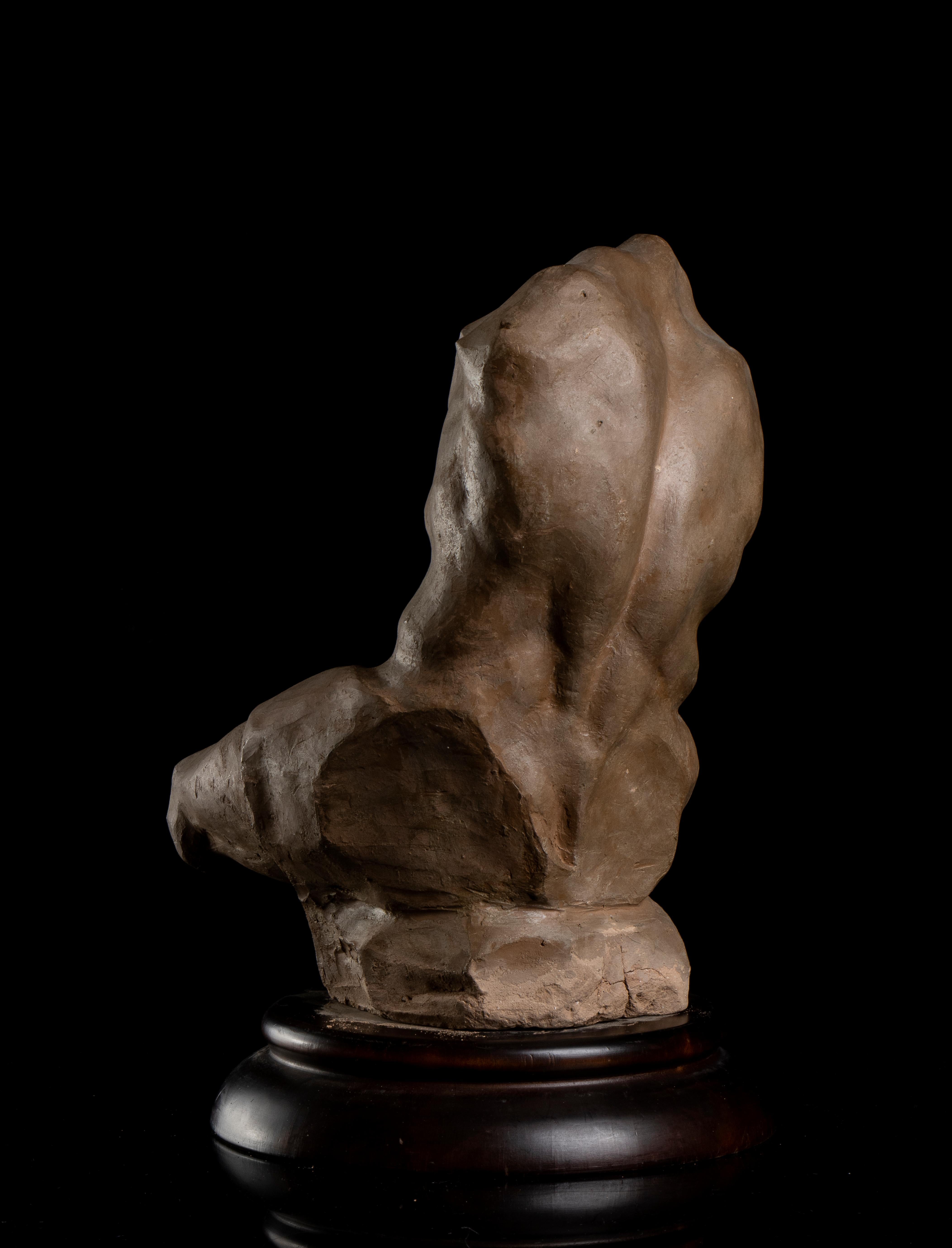  Sculpture Torso Belvedere Grand Tour Style 19th Century Terracotta Academical For Sale 6
