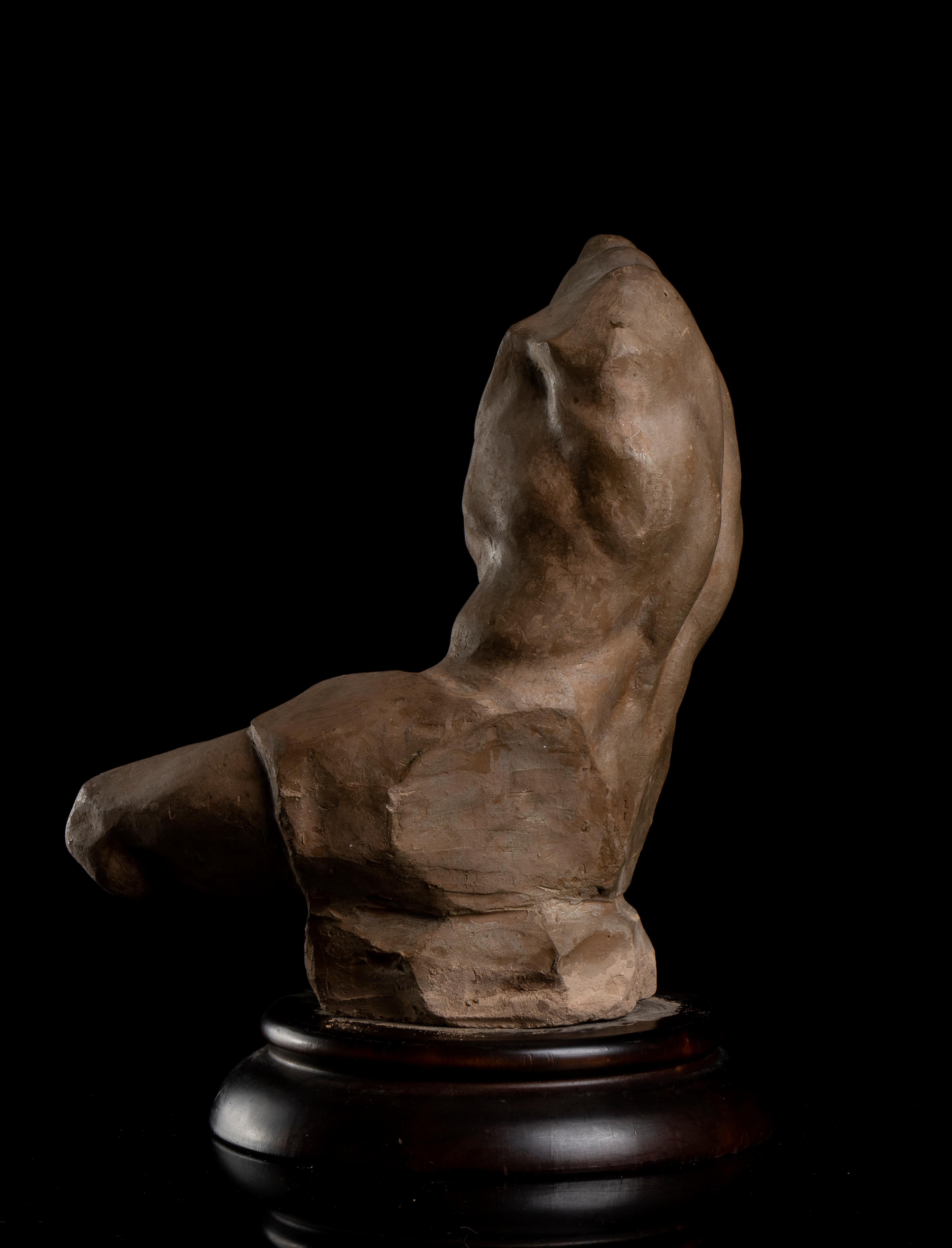  Sculpture Torso Belvedere Grand Tour Style 19th Century Terracotta Academical For Sale 7