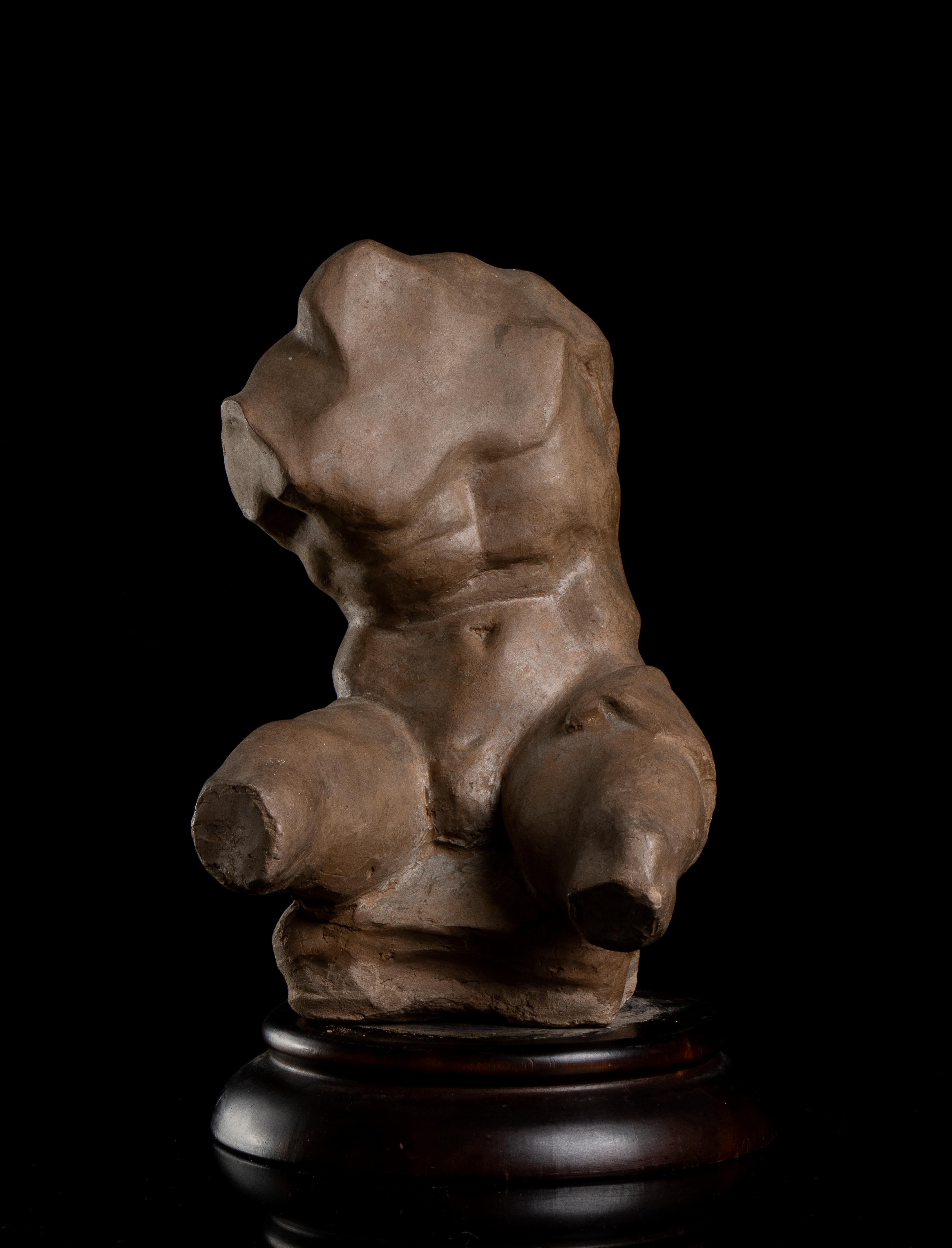 Figurative Sculpture Unknown -  Sculpture Torse Belvedere Style Grand Tour 19ème siècle Terre cuite Académique