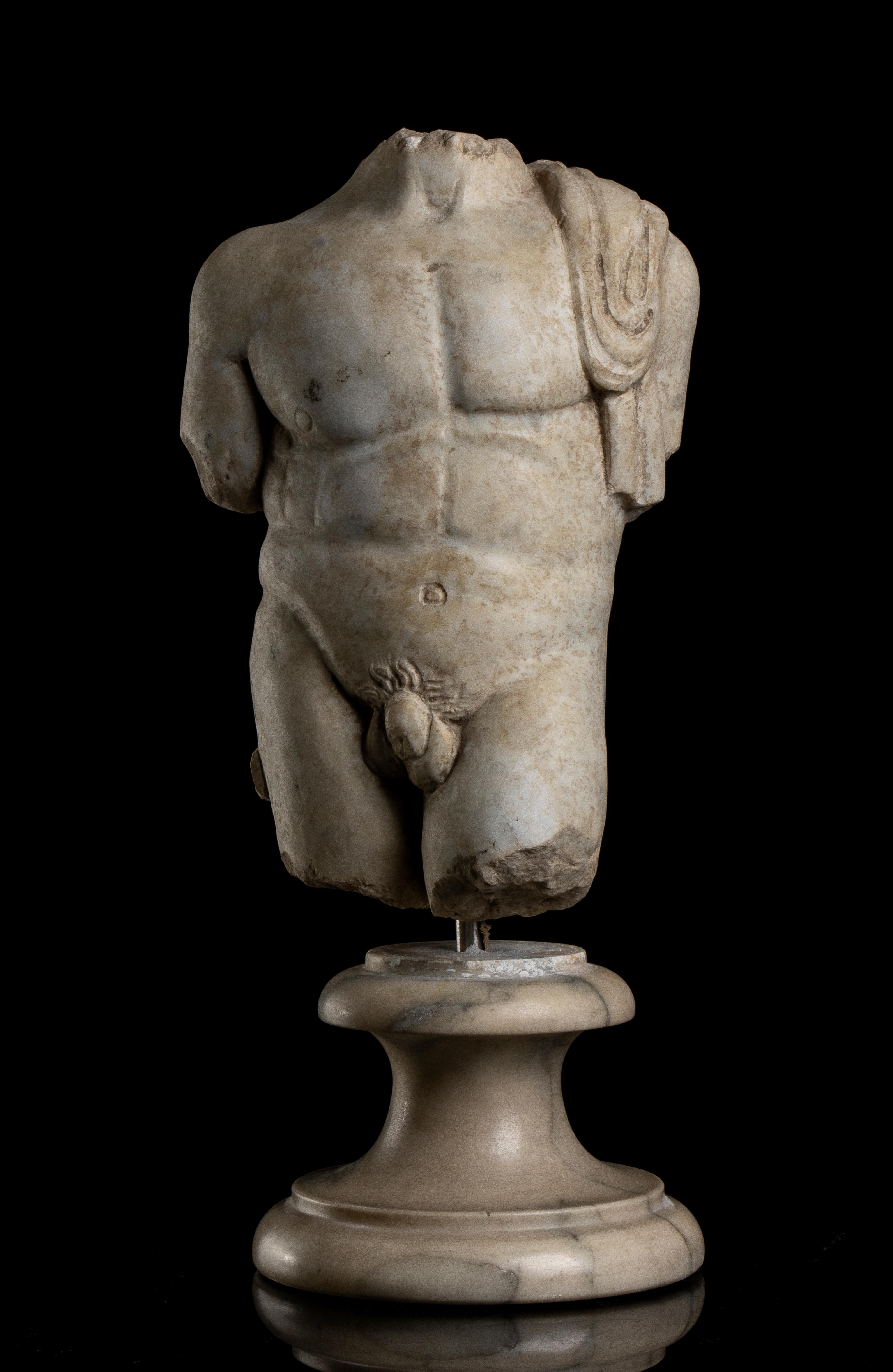 Unknown Nude Sculpture – Skulptur Torso aus weißem Marmor der Herakel, Skulptur  Klassisch-klassisches italienisches Grand Tour-Stil 