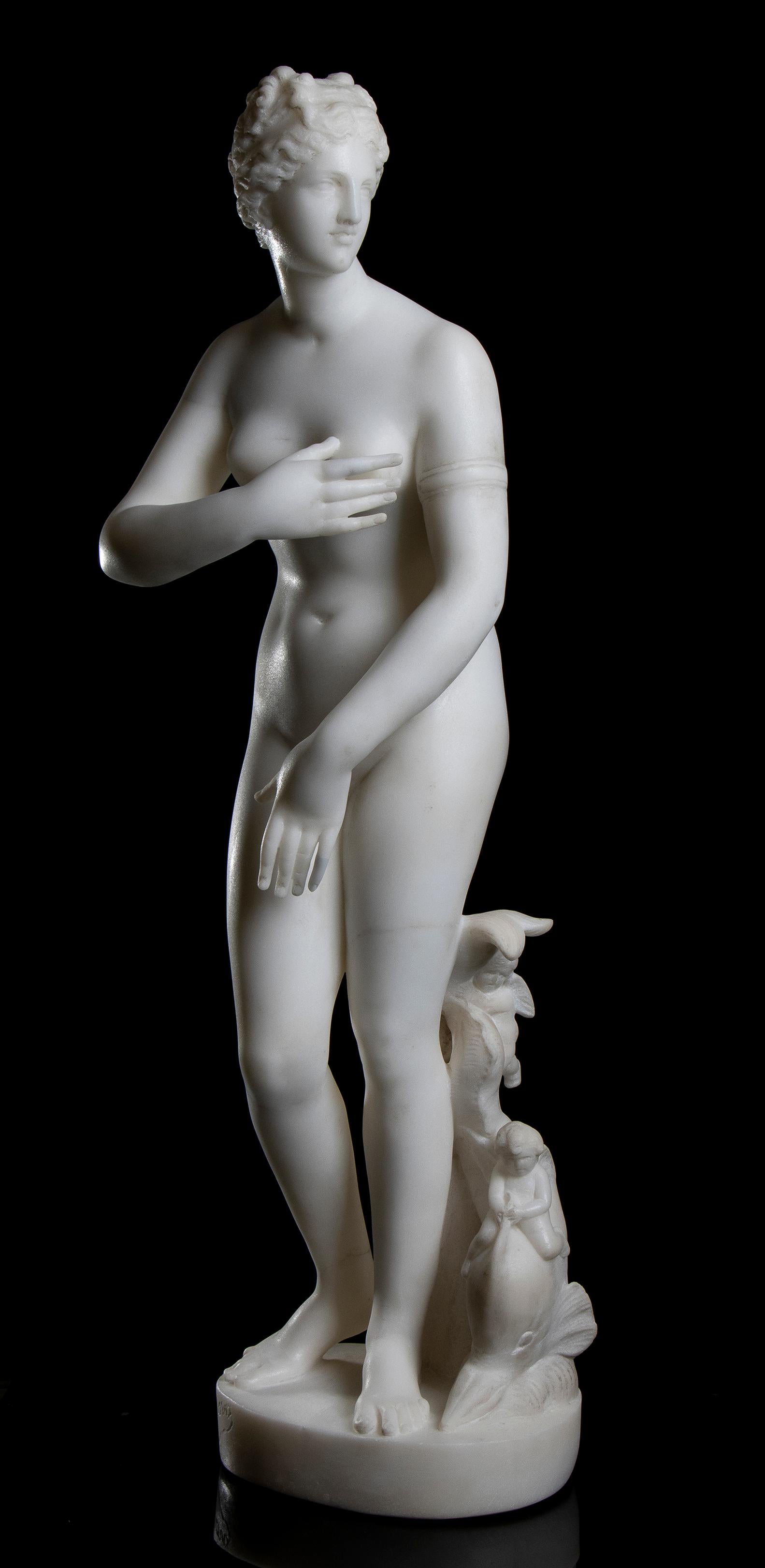 Une intéressante et belle sculpture de Vénus, connue sous le nom de Vénus de Médicis, représente la déesse dans une pose fugitive, momentanée, comme si elle était surprise en train d'émerger de la mer, ce à quoi le dauphin à ses pieds fait