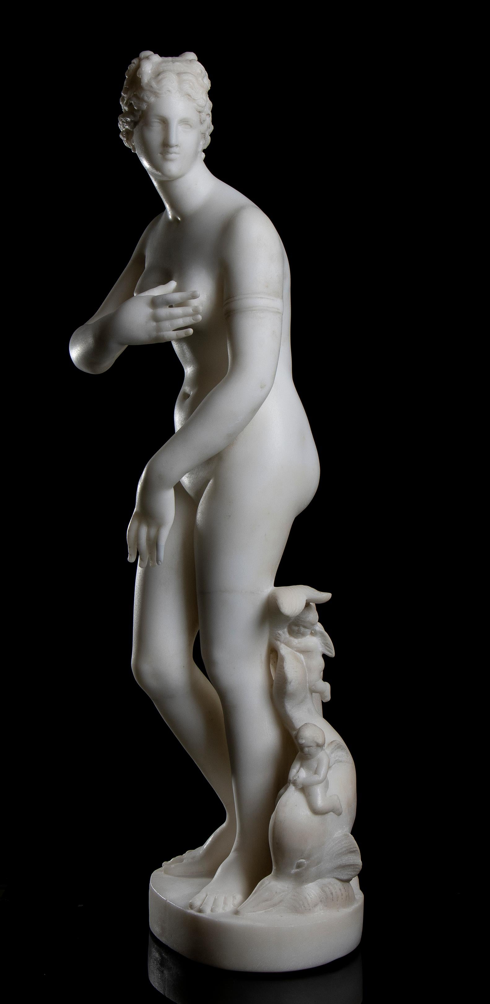 an interesting and beautiful sculpture of Venus, knew as Venus de' Medici, depicts the goddess in a fugitive, momentary pose, as if surprised in the act of emerging from the sea, to which the dolphin at her feet alludes.Carved in the 19th century in