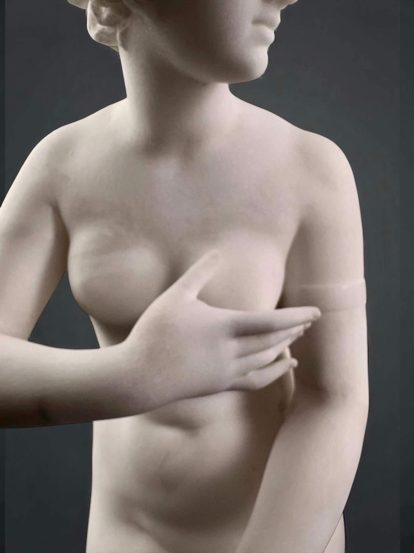Sculpture en marbre blanc Vénus des Médicis Italie Florence milieu du XIXe siècle en vente 8