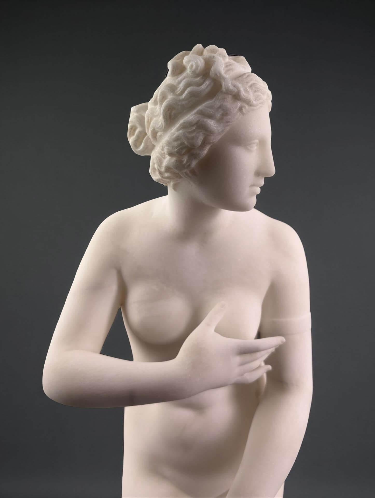 Sculpture en marbre blanc Vénus des Médicis Italie Florence milieu du XIXe siècle en vente 10