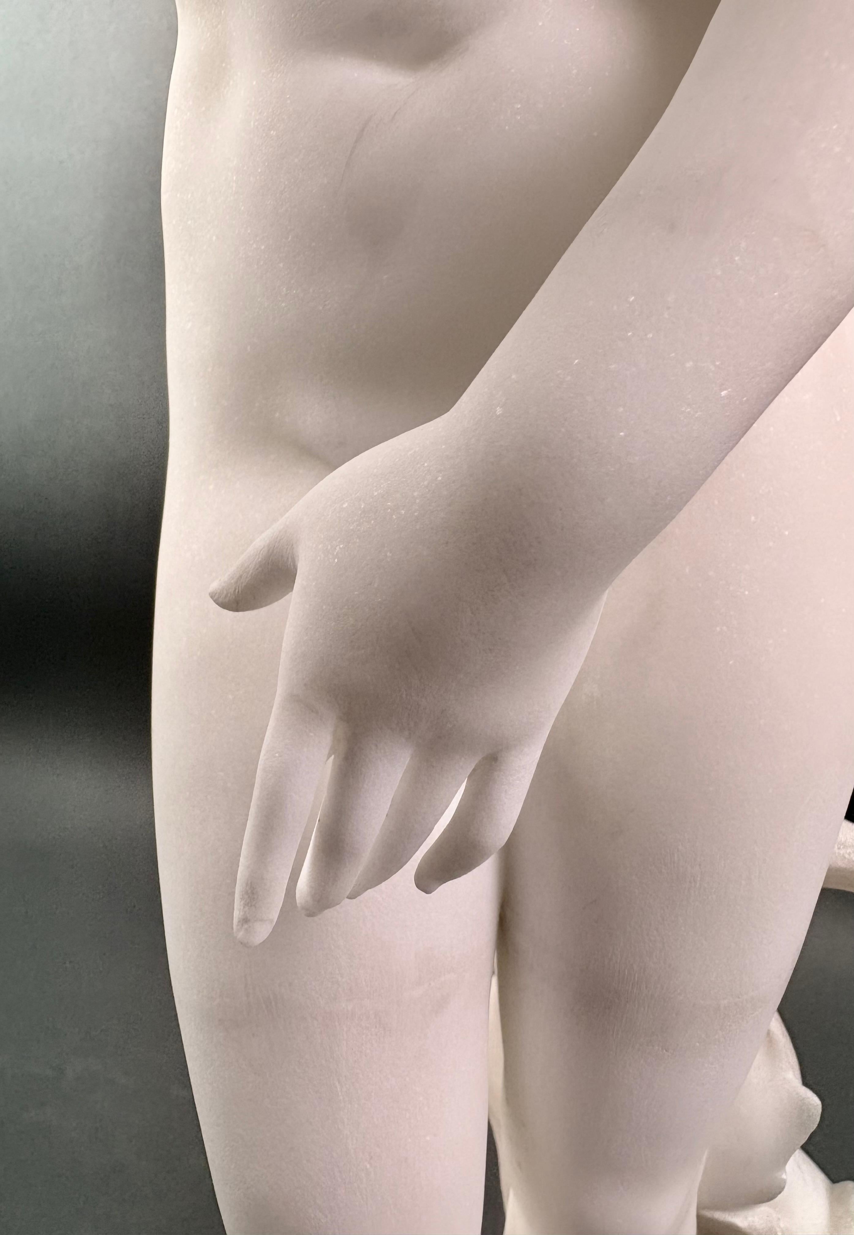 Sculpture en marbre blanc Vénus des Médicis Italie Florence milieu du XIXe siècle en vente 12